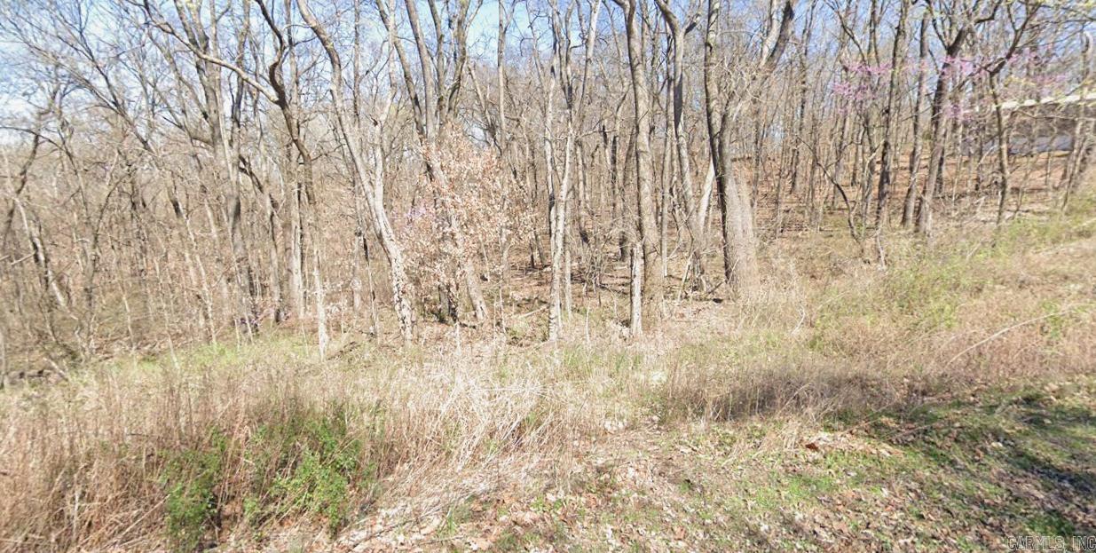 Lot 3 Pyramid Lane Property Photo 4