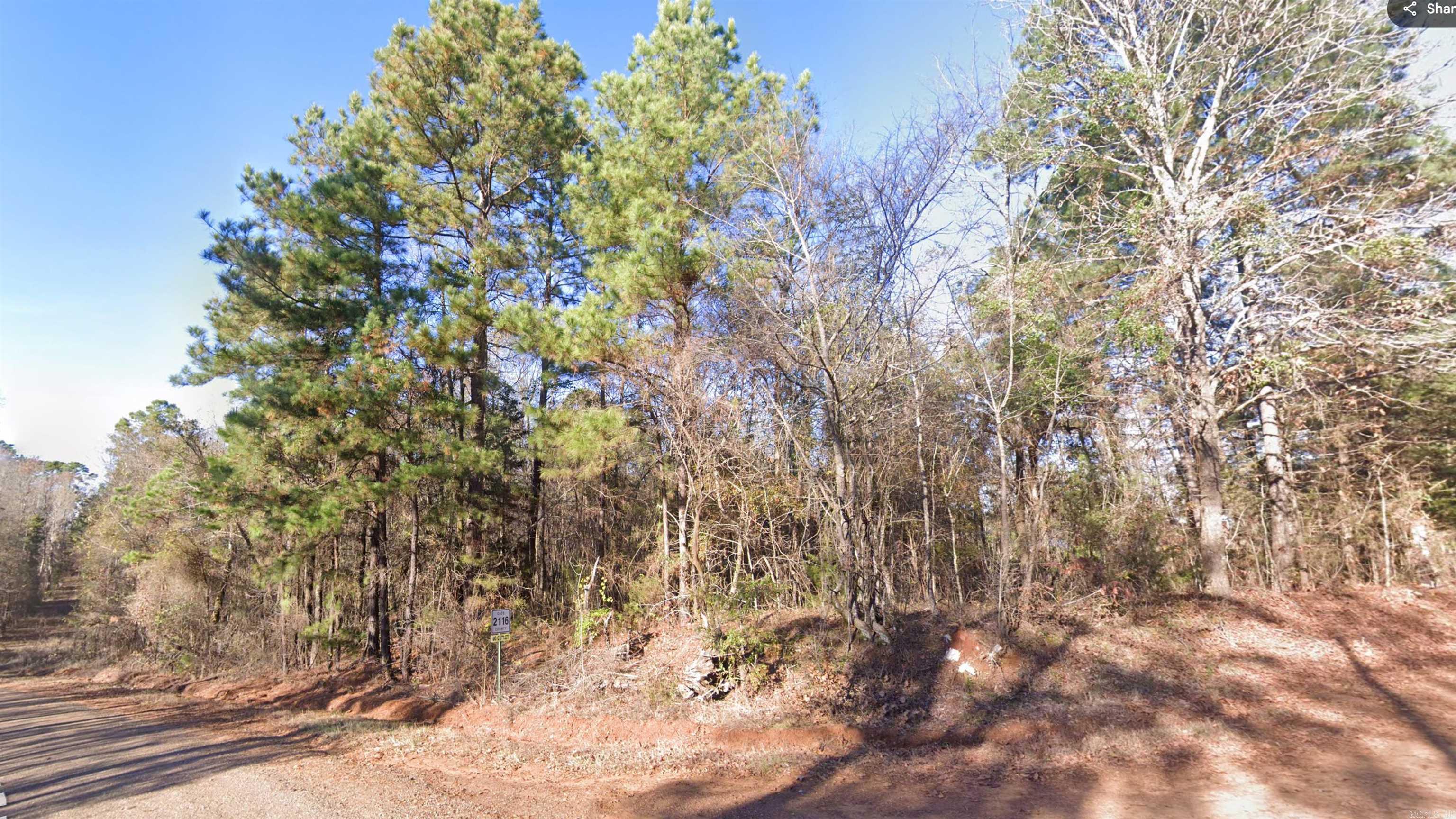 0 Co Rd 2117 Property Photo 5