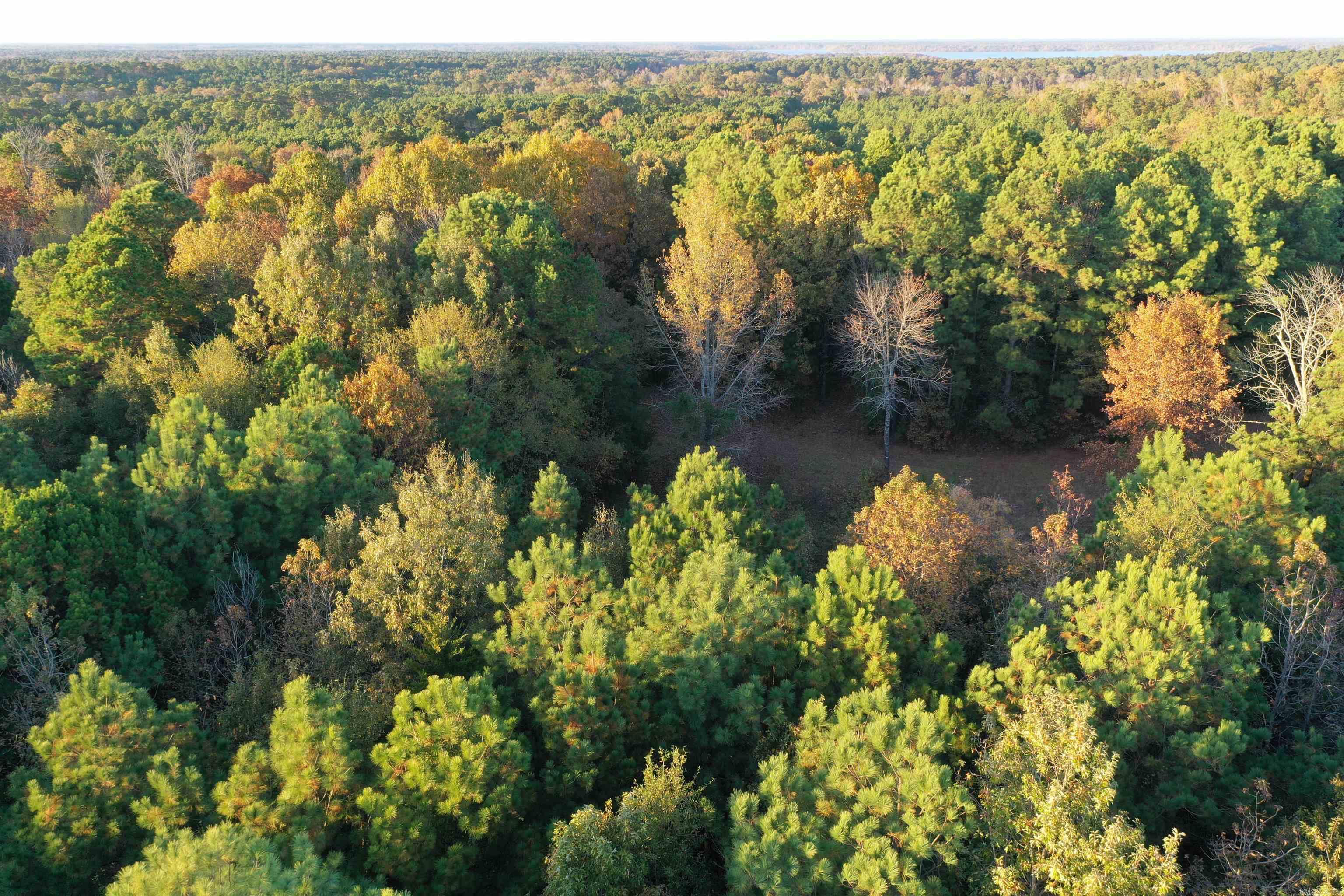 0 Co Rd 2117 Property Photo 9