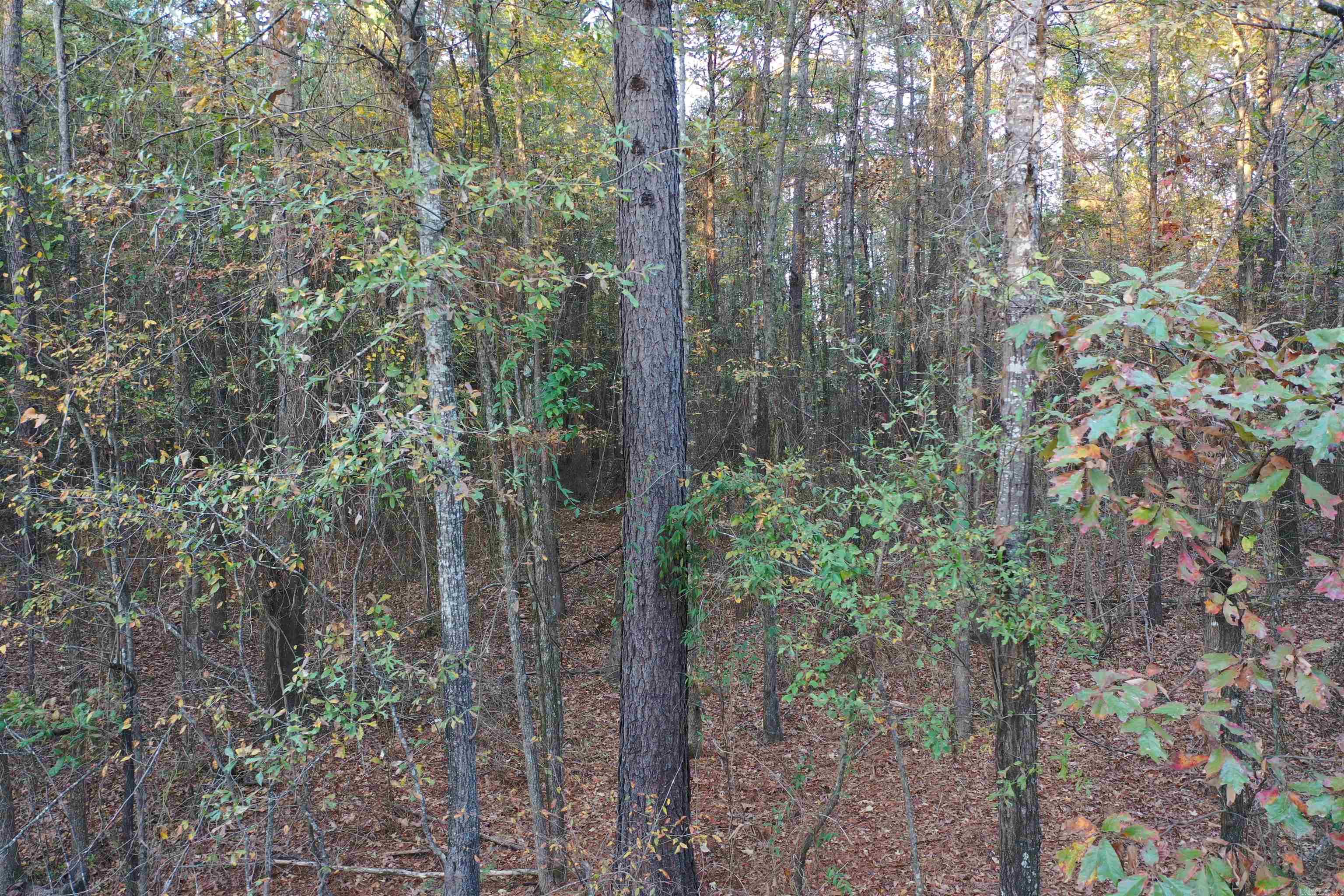 0 Co Rd 2117 Property Photo 18
