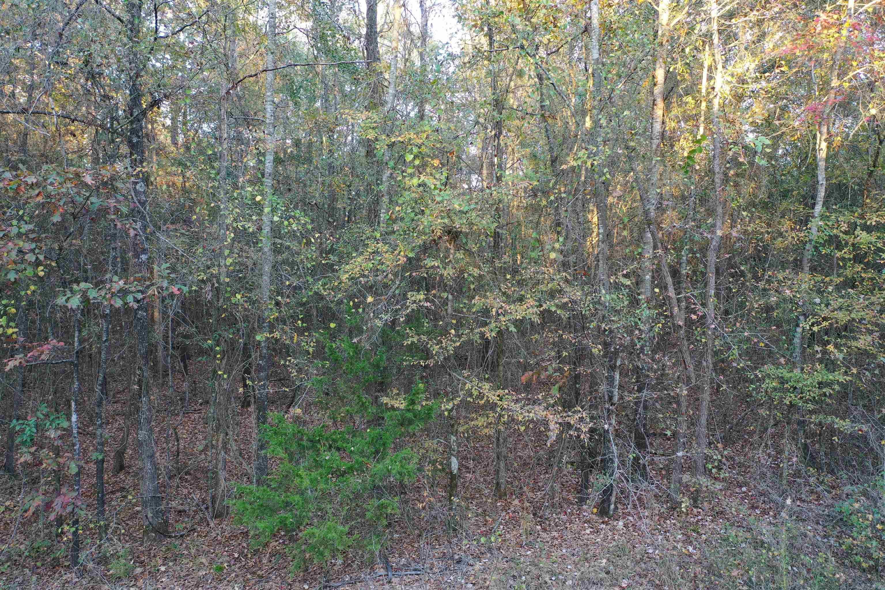 0 Co Rd 2117 Property Photo 19