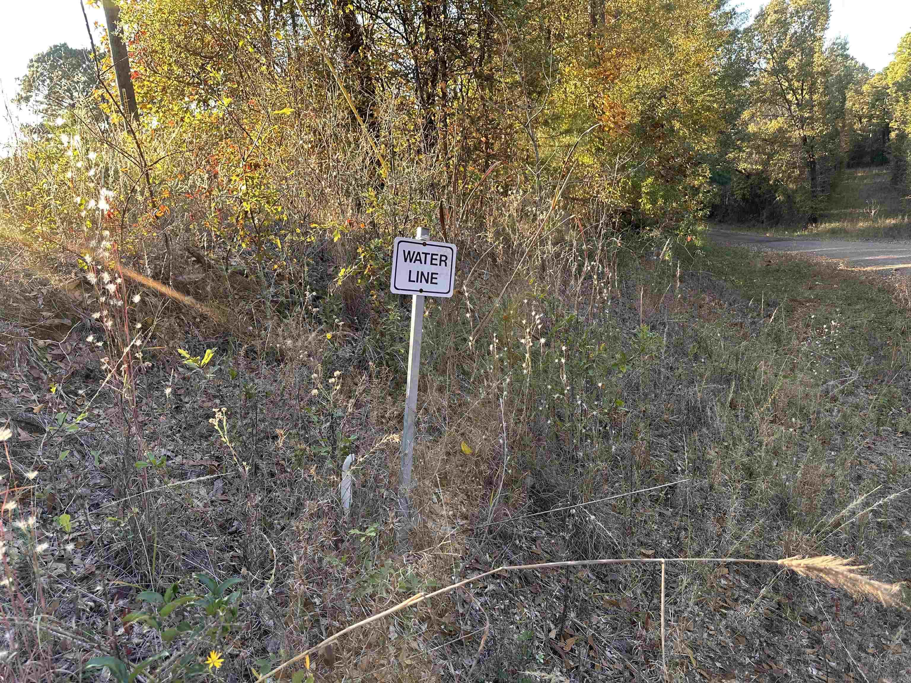 0 Co Rd 2117 Property Photo 29
