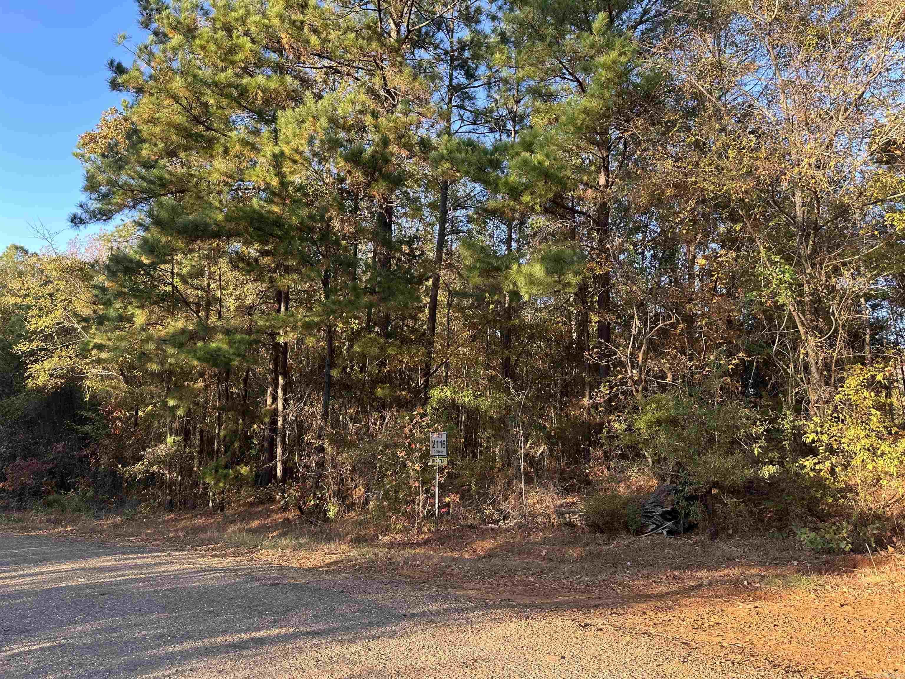 0 Co Rd 2117 Property Photo 30