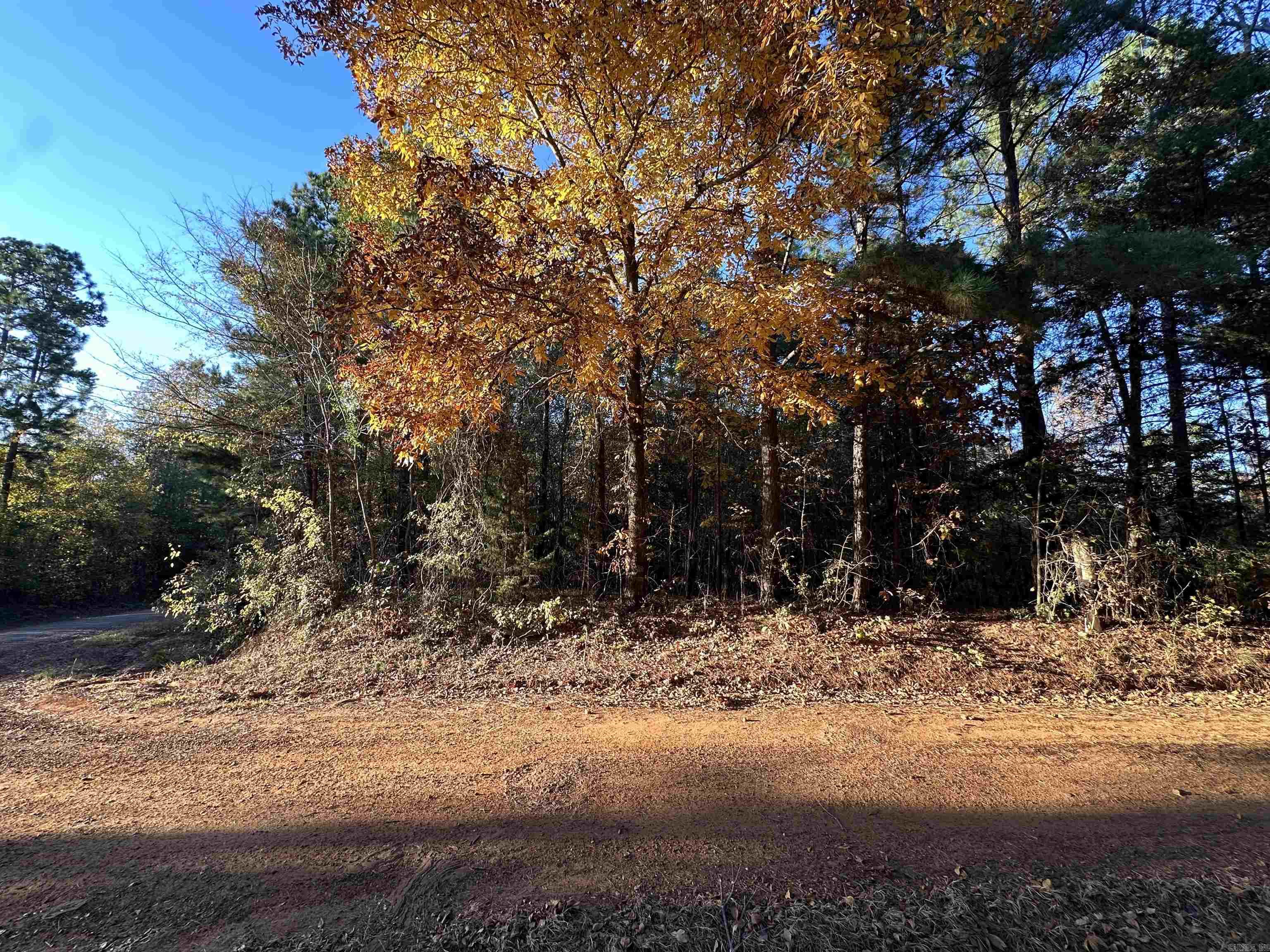 0 Co Rd 2117 Property Photo 34