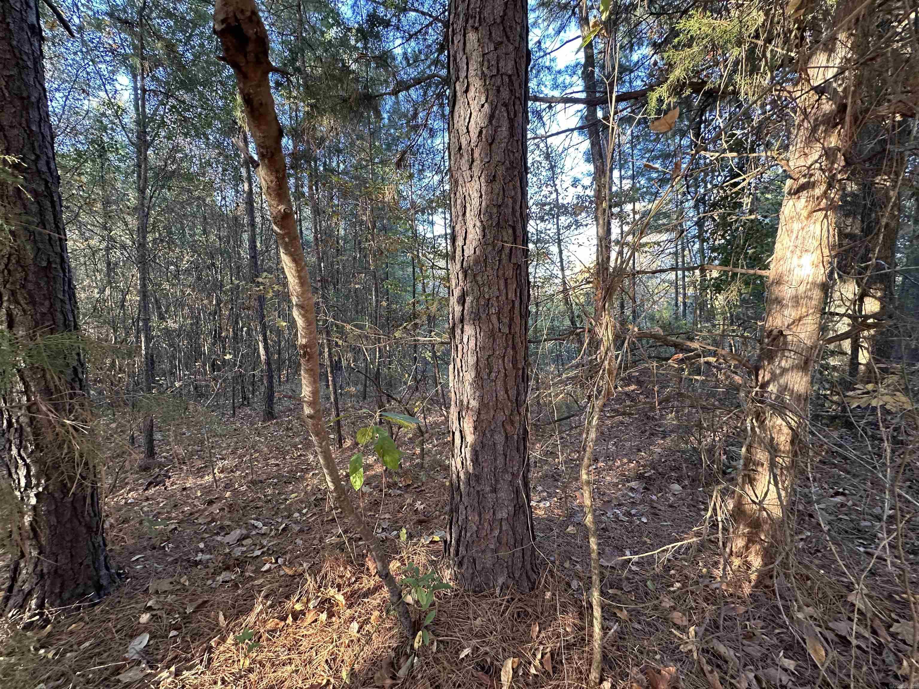 0 Co Rd 2117 Property Photo 35