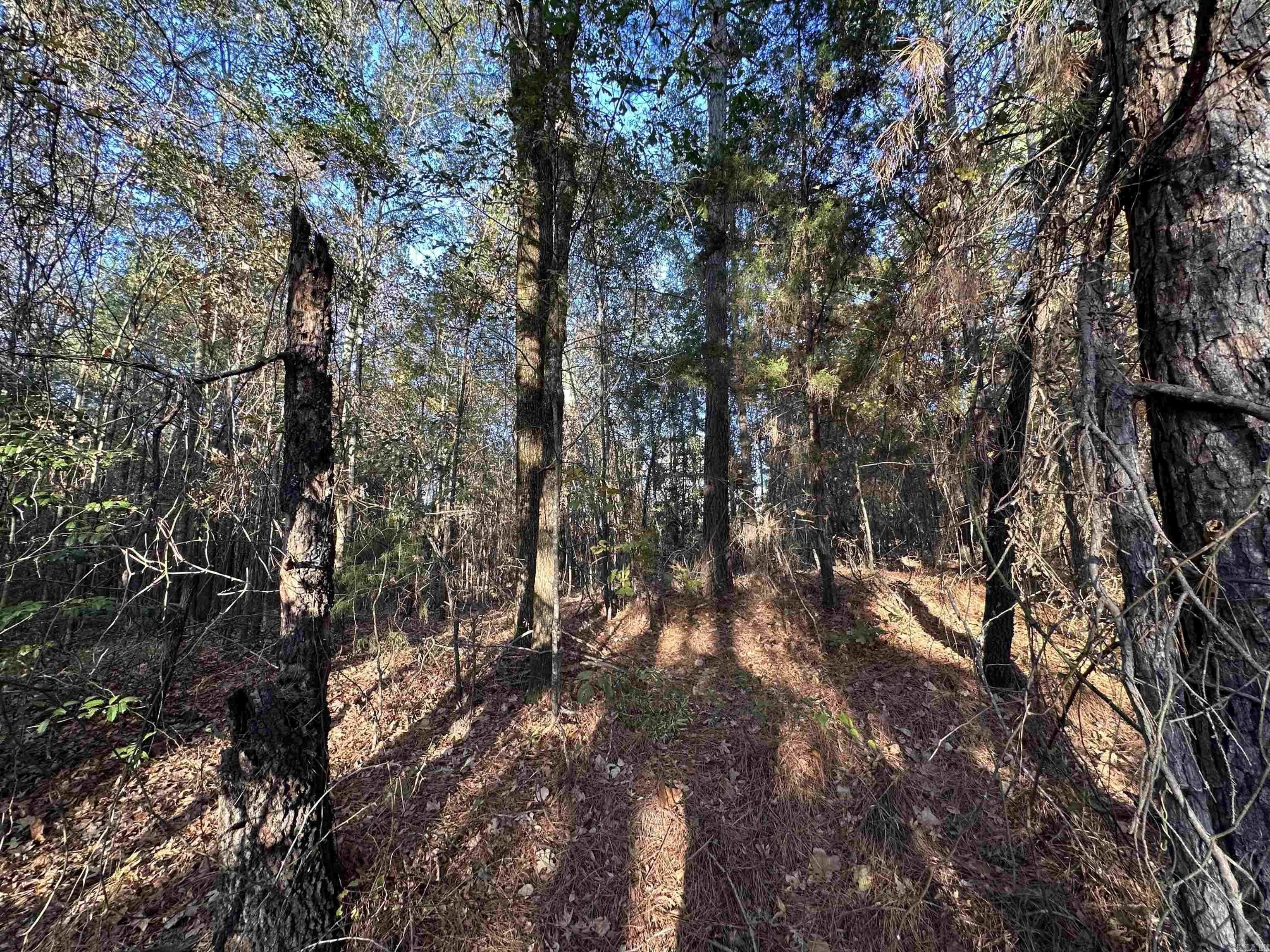 0 Co Rd 2117 Property Photo 36