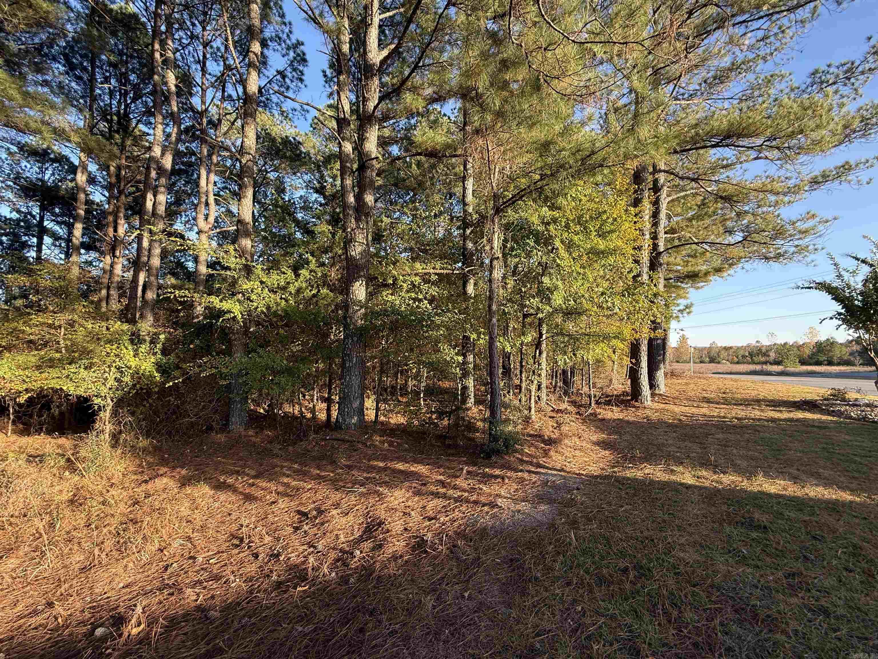 24712 S Highway 5 Property Photo 4