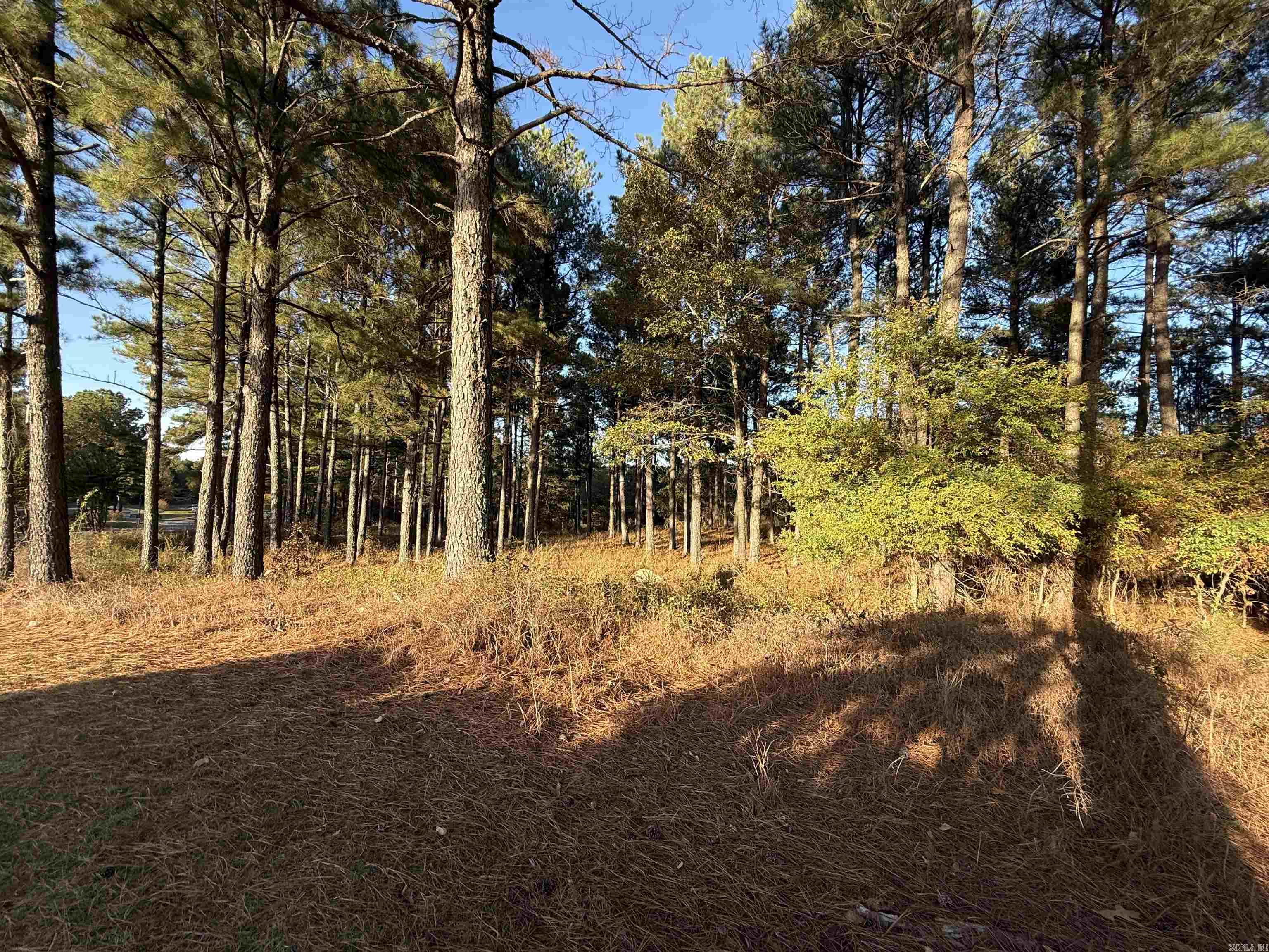 24712 S Highway 5 Property Photo 9