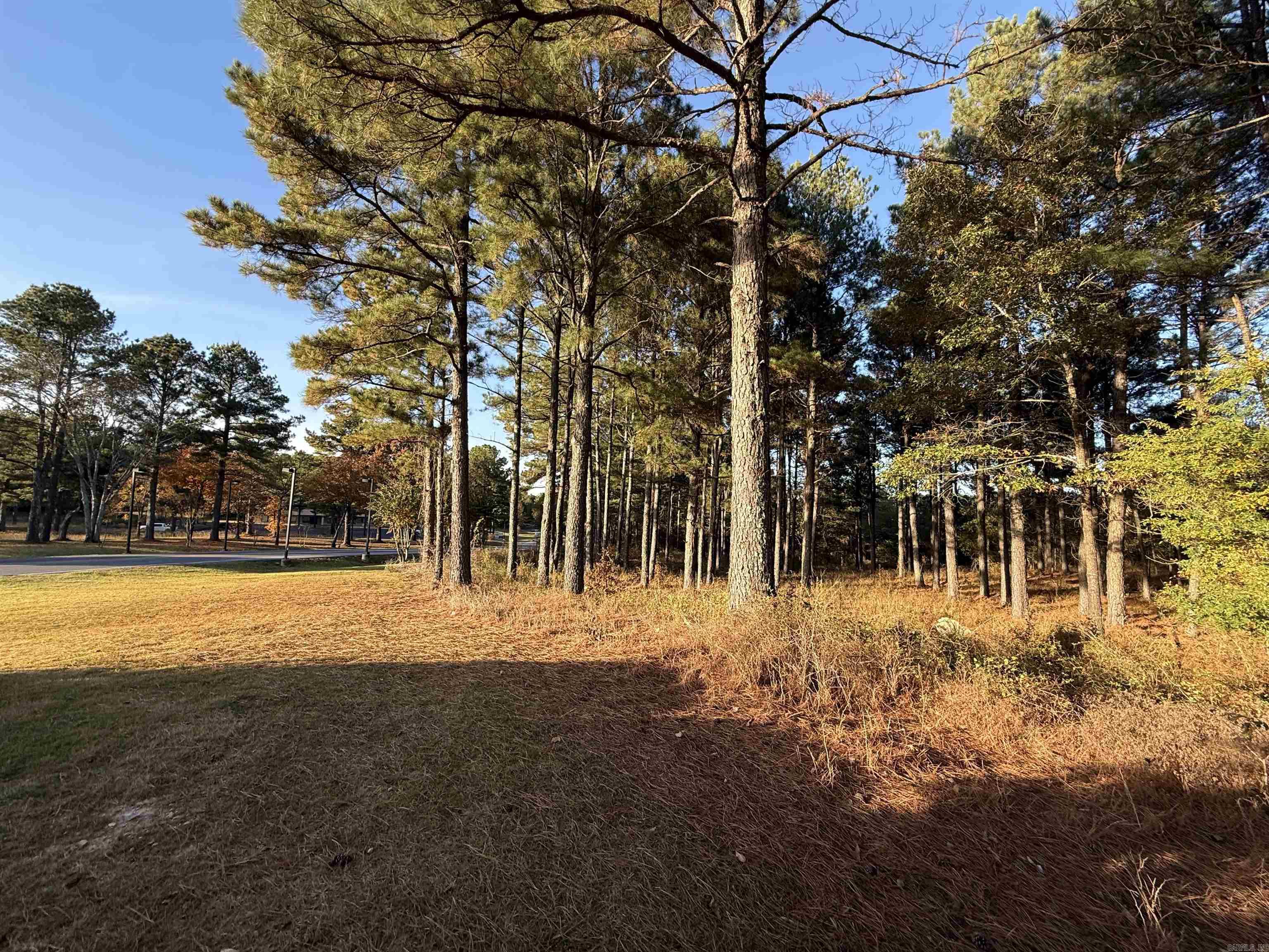 24712 S Highway 5 Property Photo 10