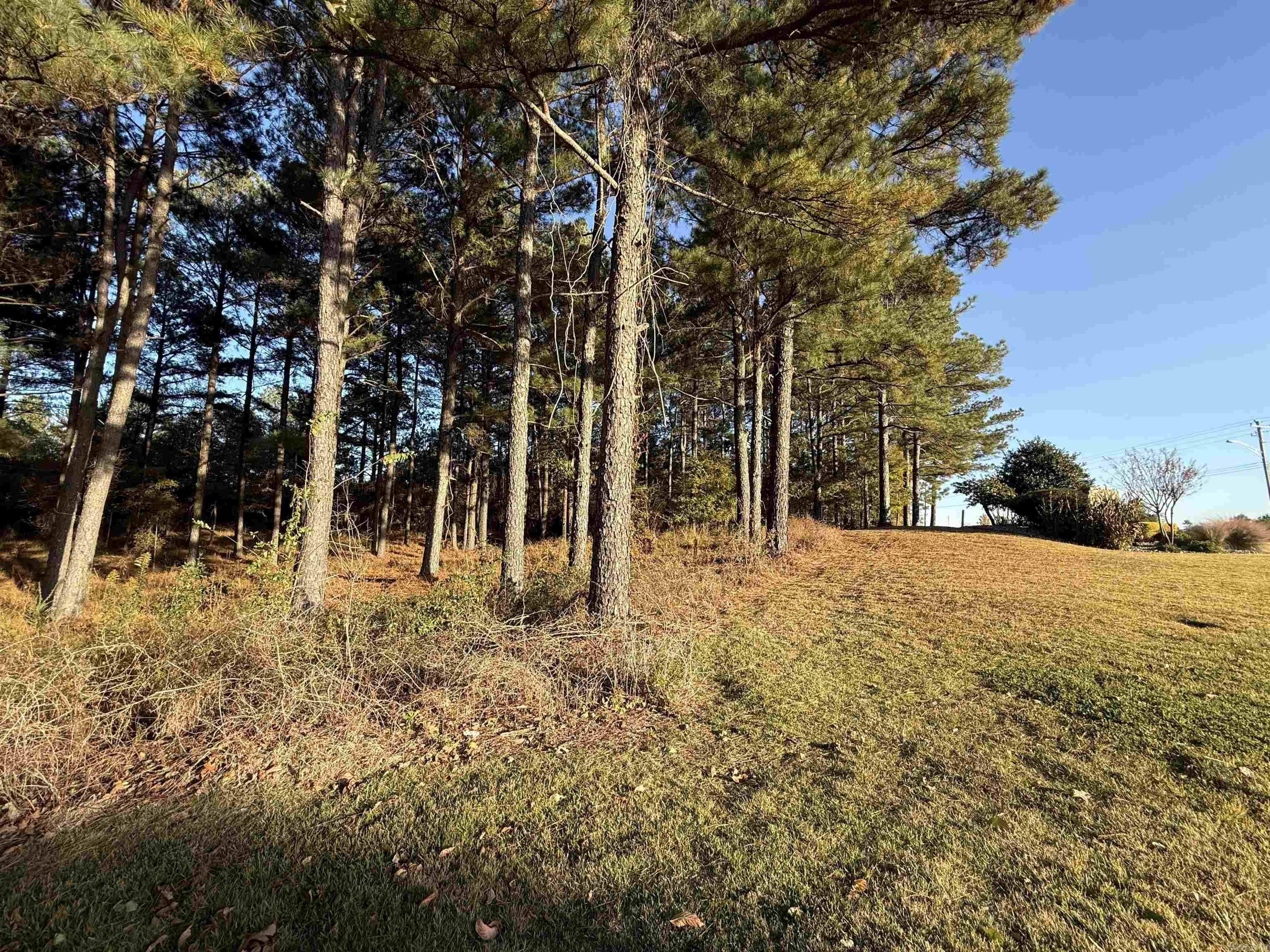 24712 S Highway 5 Property Photo 13