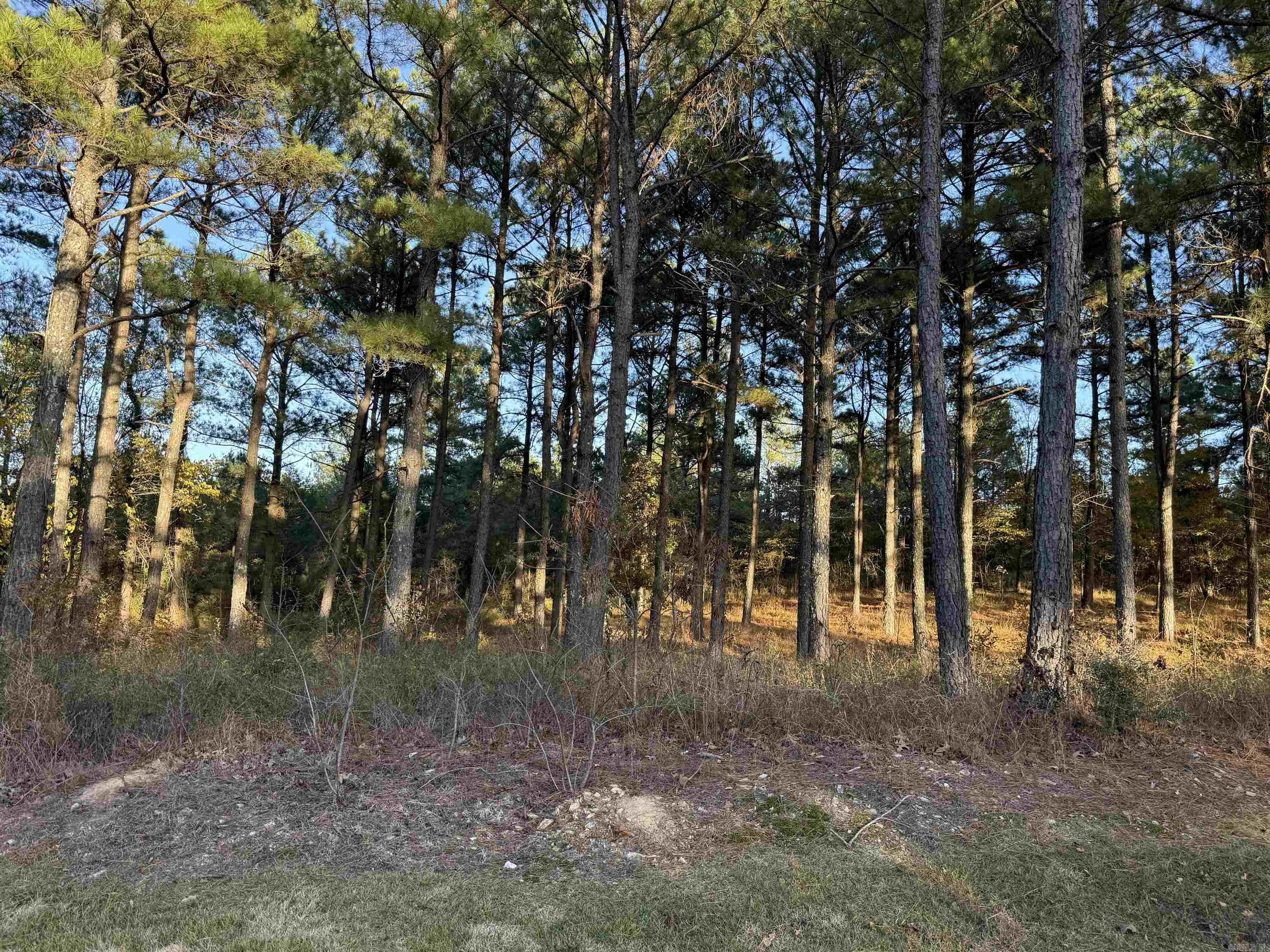 24712 S Highway 5 Property Photo 14