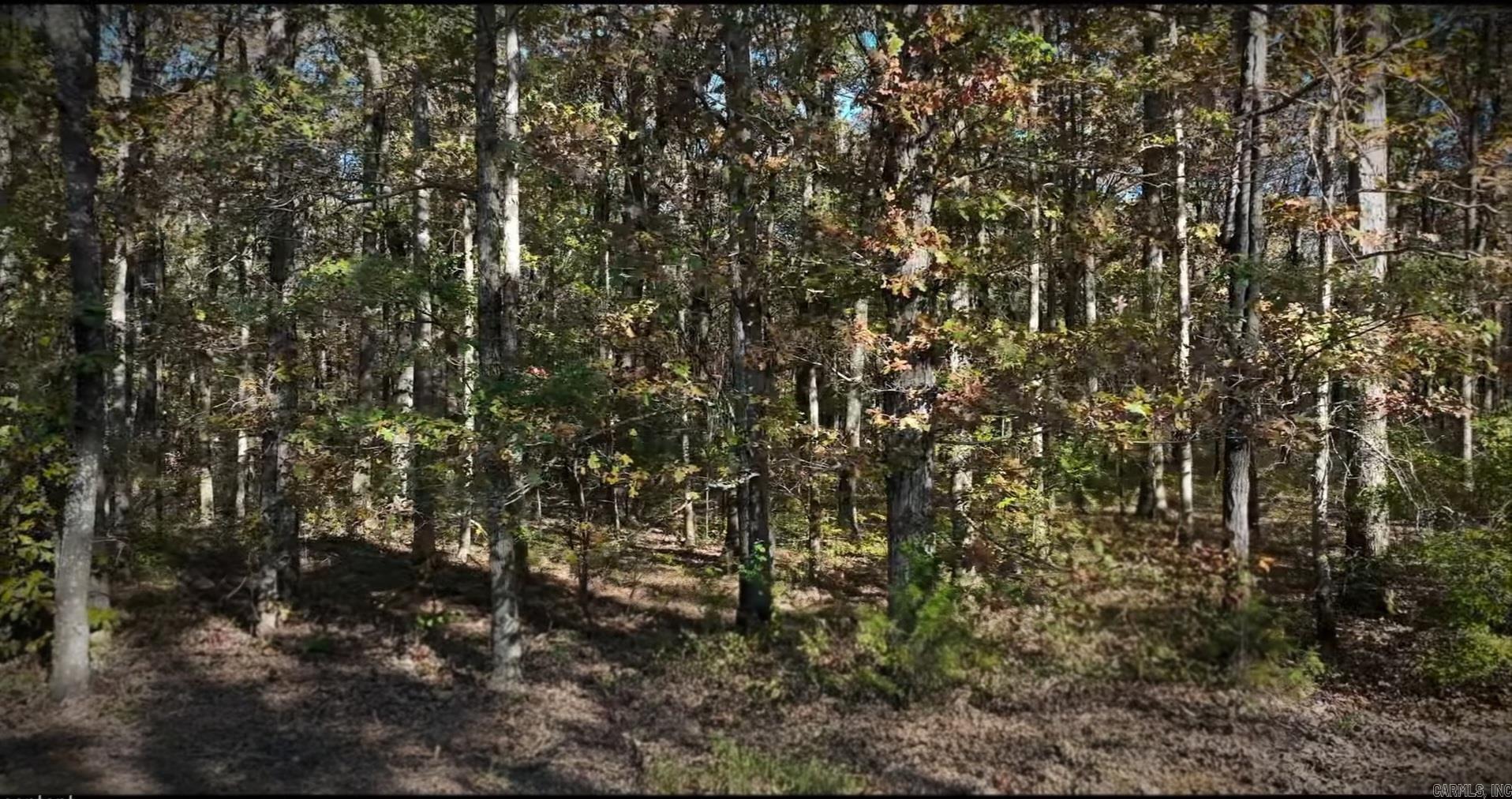2624 S Clay Hill Road Property Photo 6
