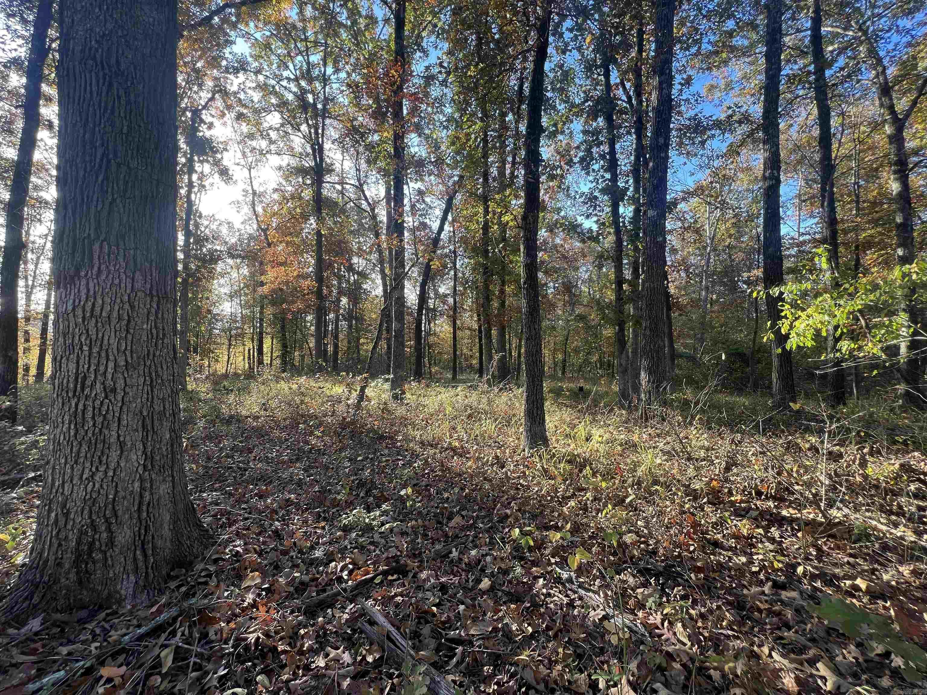 000 Sulpher Springs Rd Property Photo 2