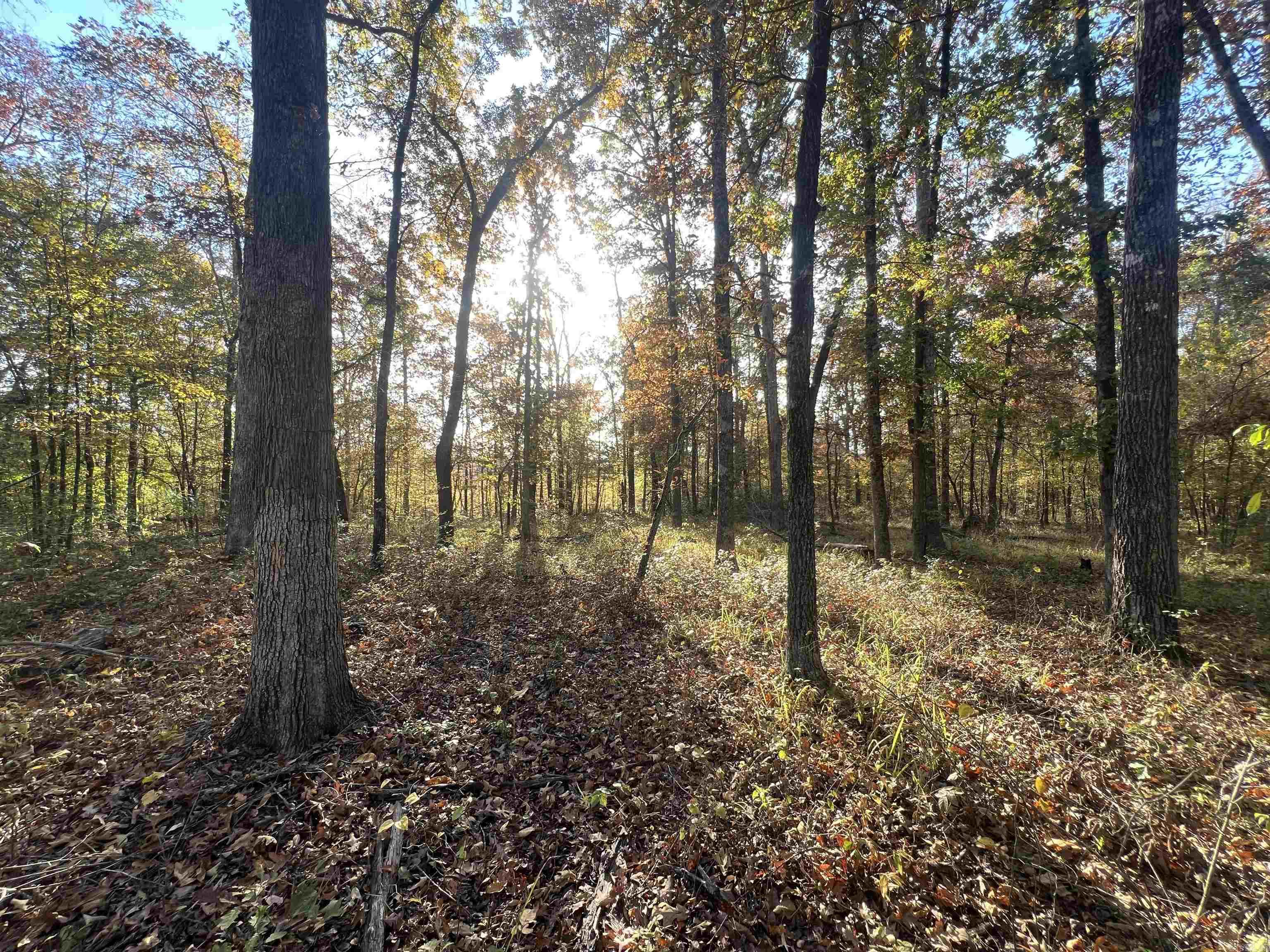 000 Sulpher Springs Rd Property Photo 3