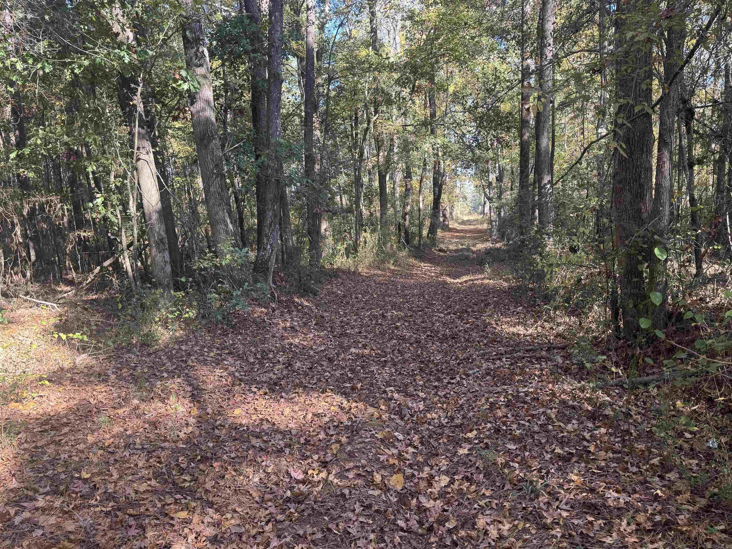 000 Sulpher Springs Rd Property Photo 4
