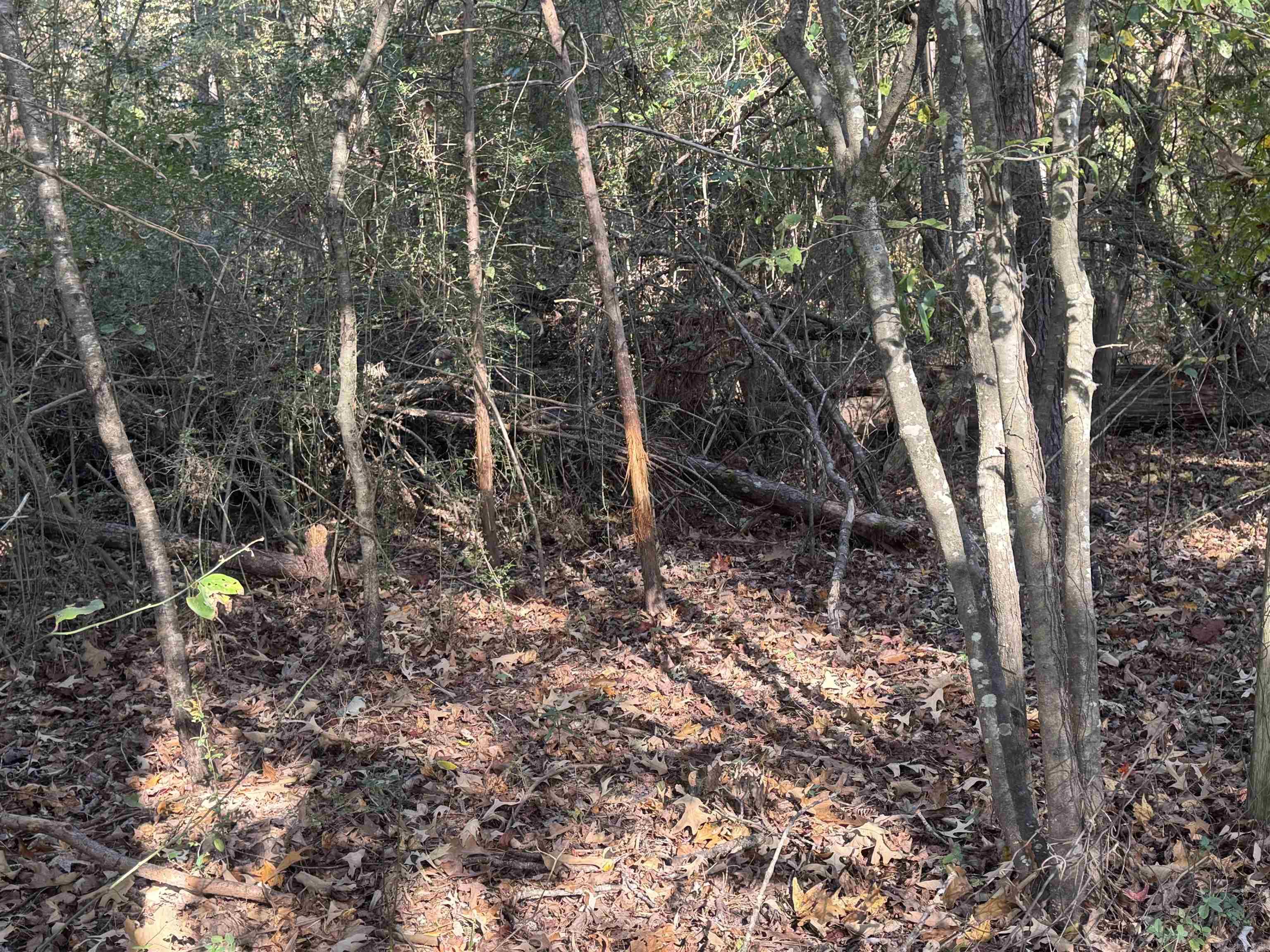 000 Sulpher Springs Rd Property Photo 5