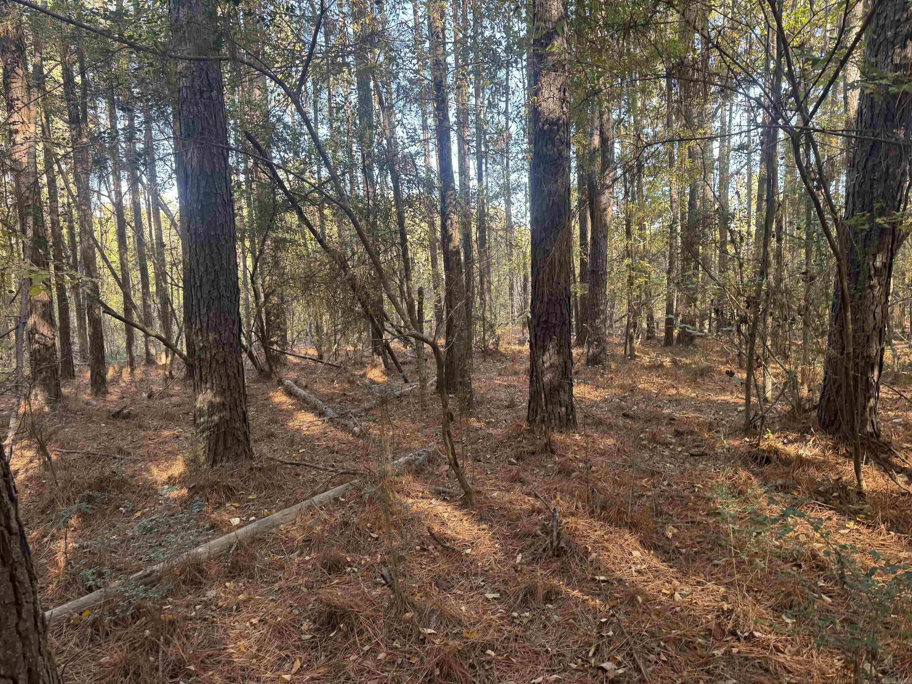 000 Sulpher Springs Rd Property Photo 8