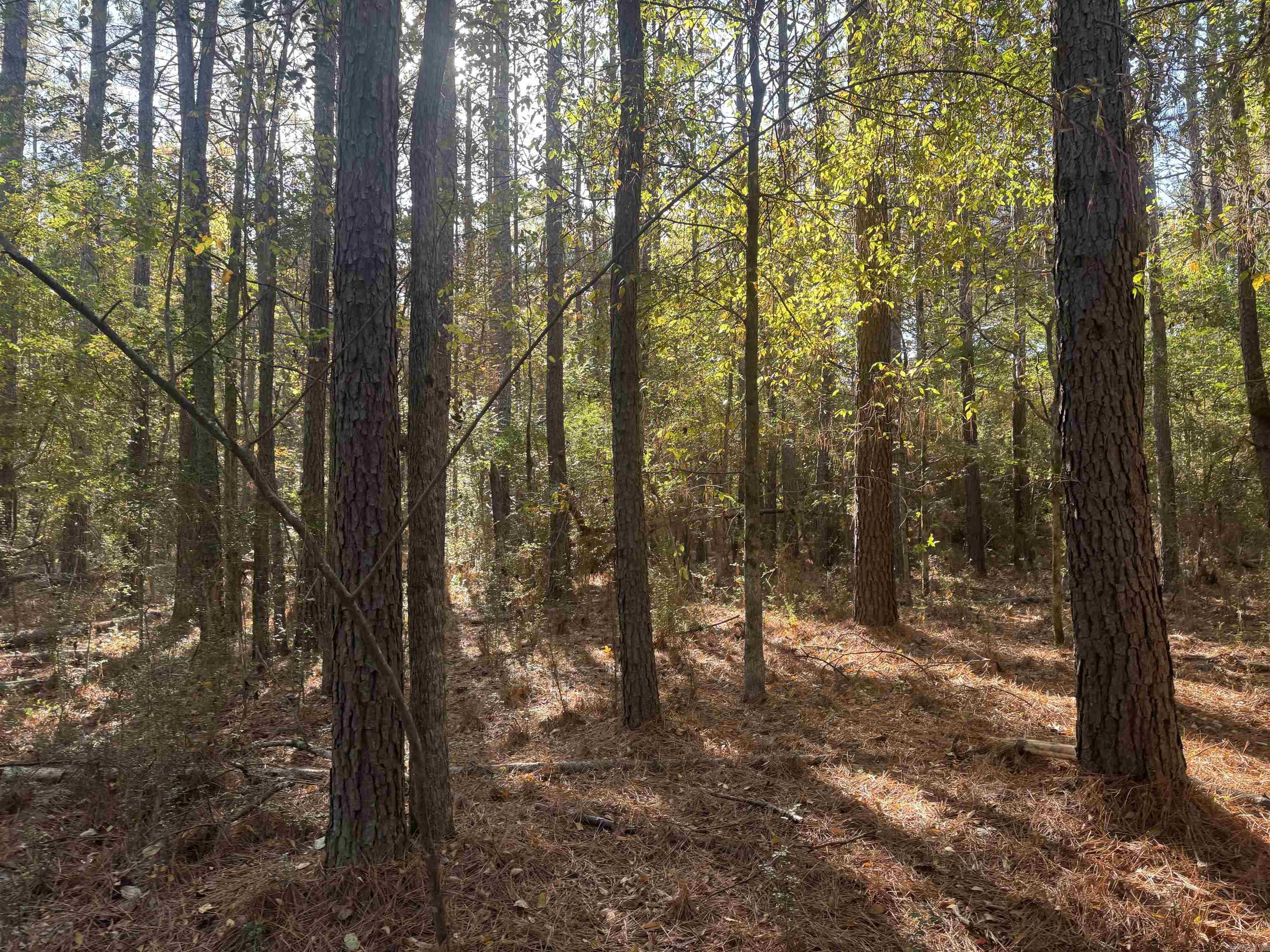 000 Sulpher Springs Rd Property Photo 9