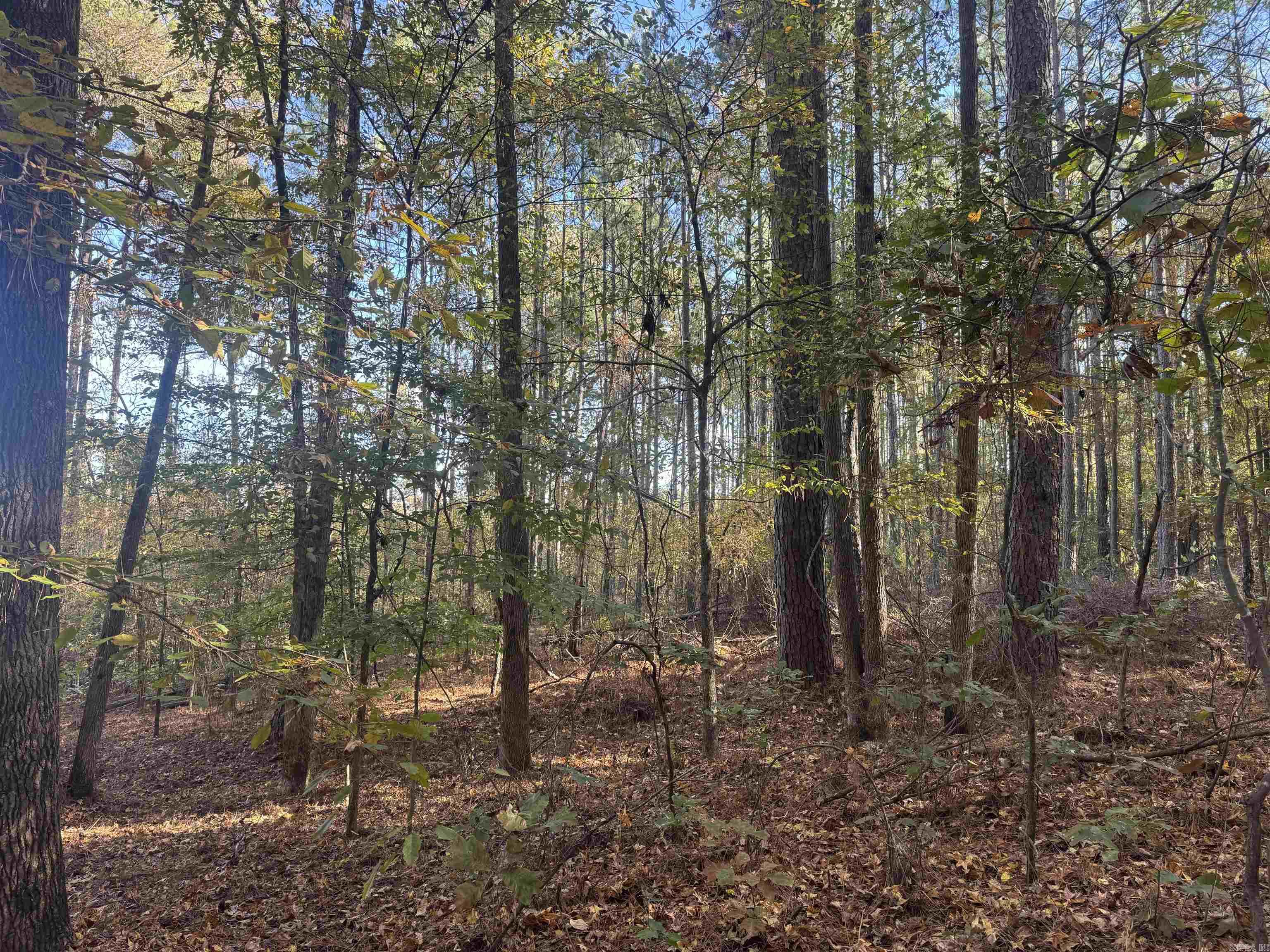 000 Sulpher Springs Rd Property Photo 10