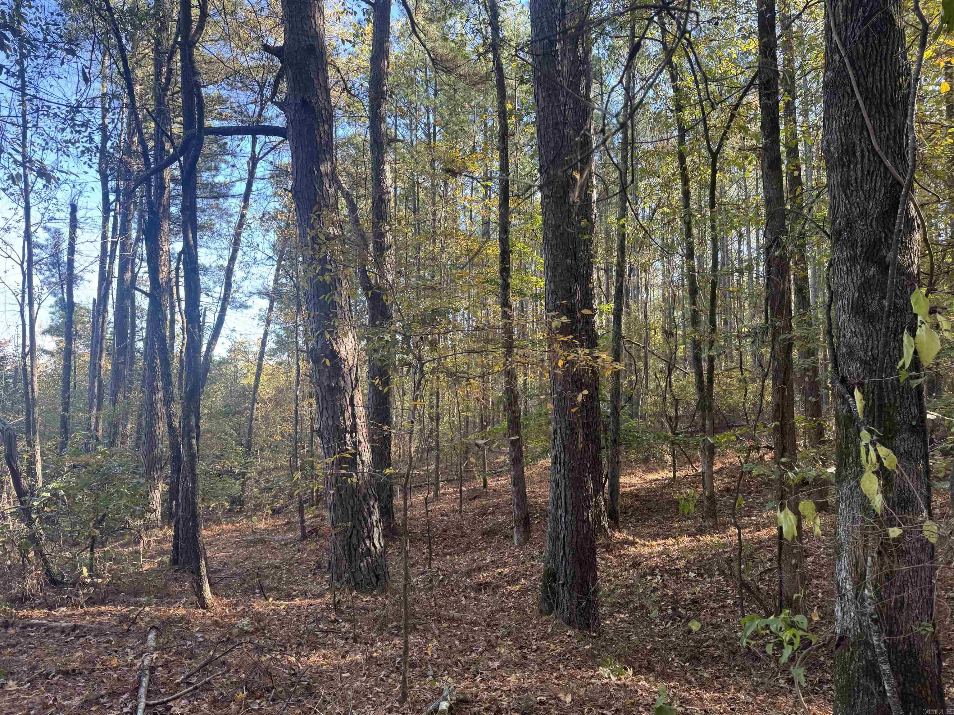 000 Sulpher Springs Rd Property Photo 11