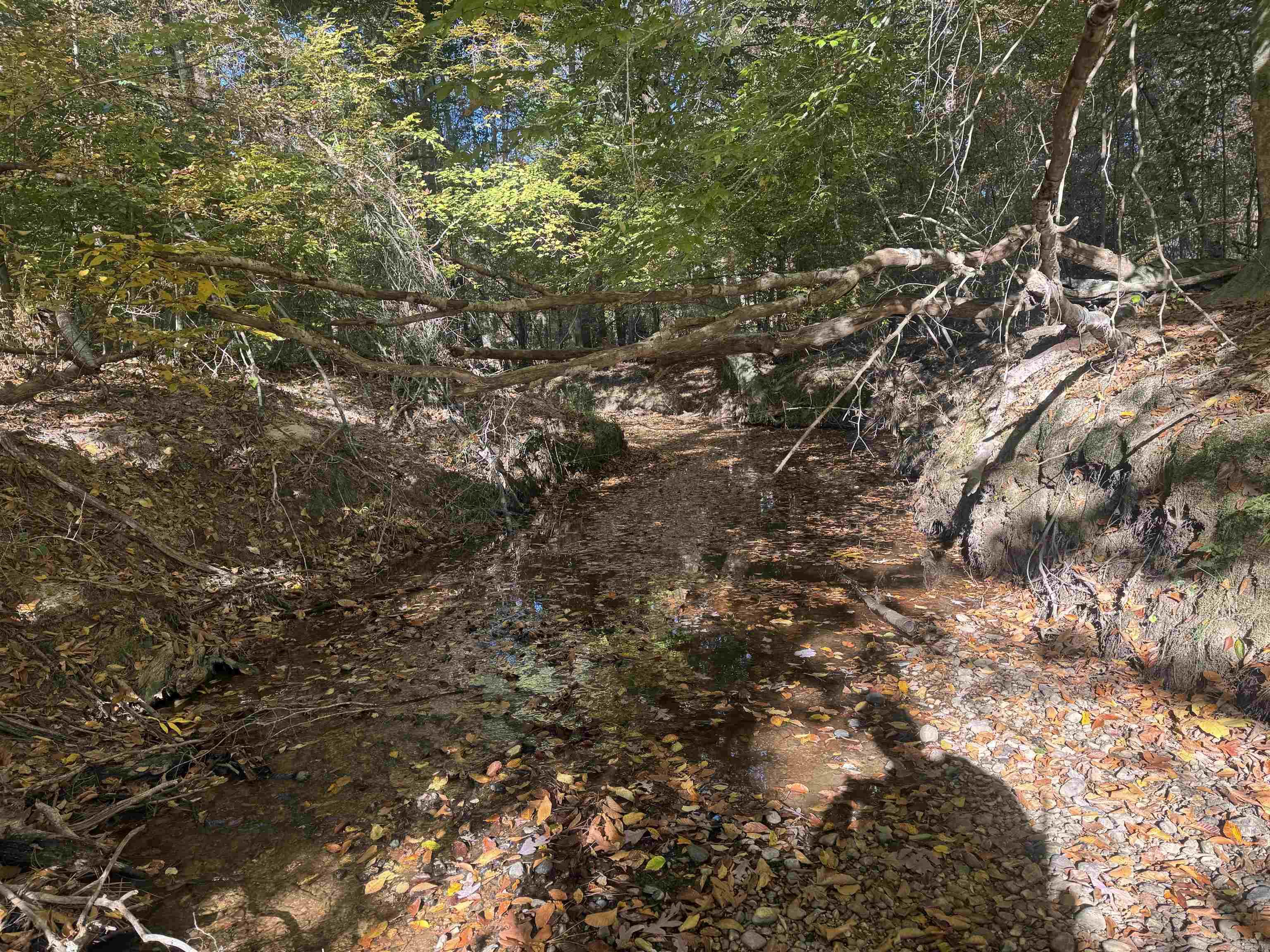 000 Sulpher Springs Rd Property Photo 13