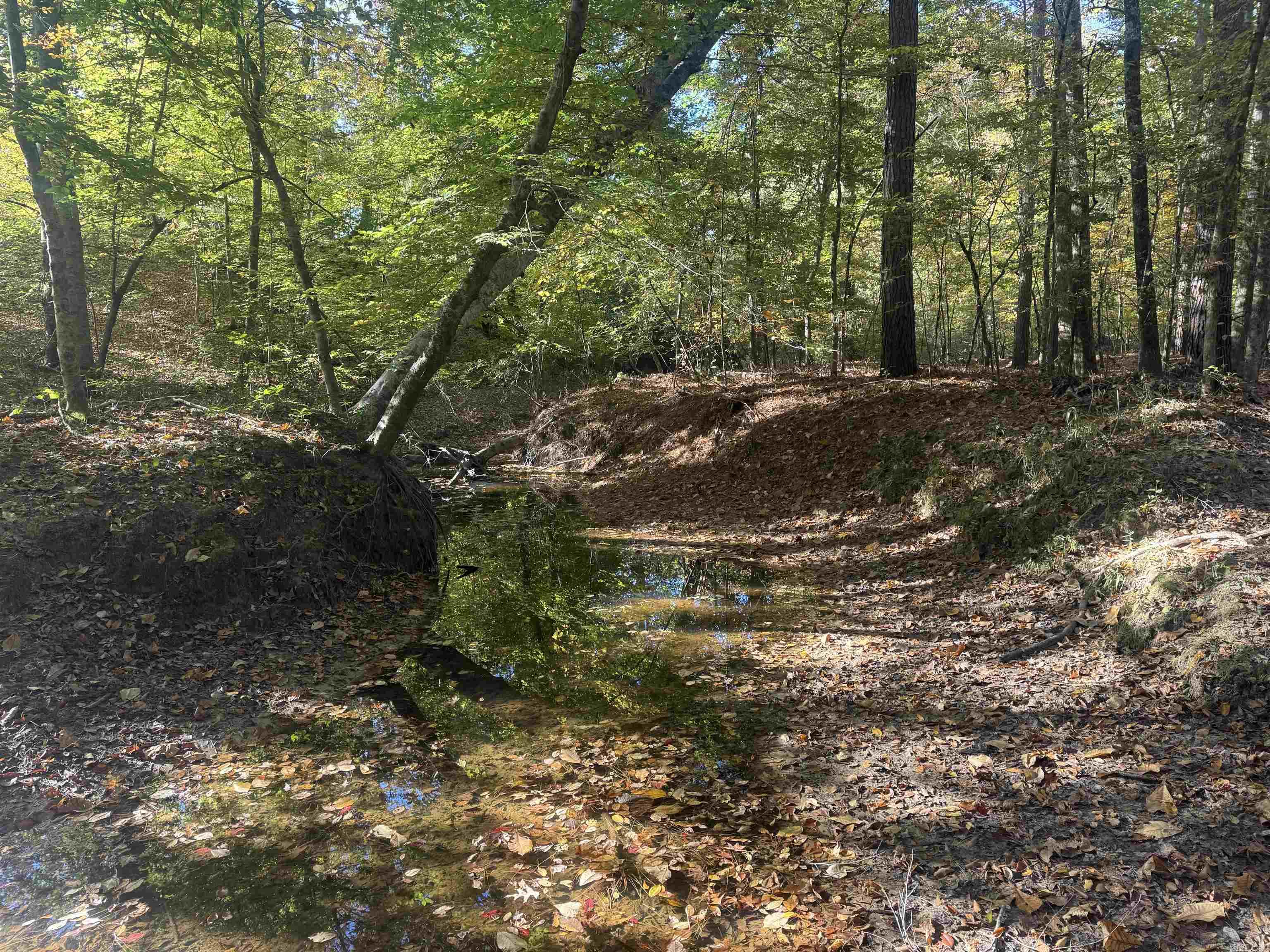000 Sulpher Springs Rd Property Photo 14