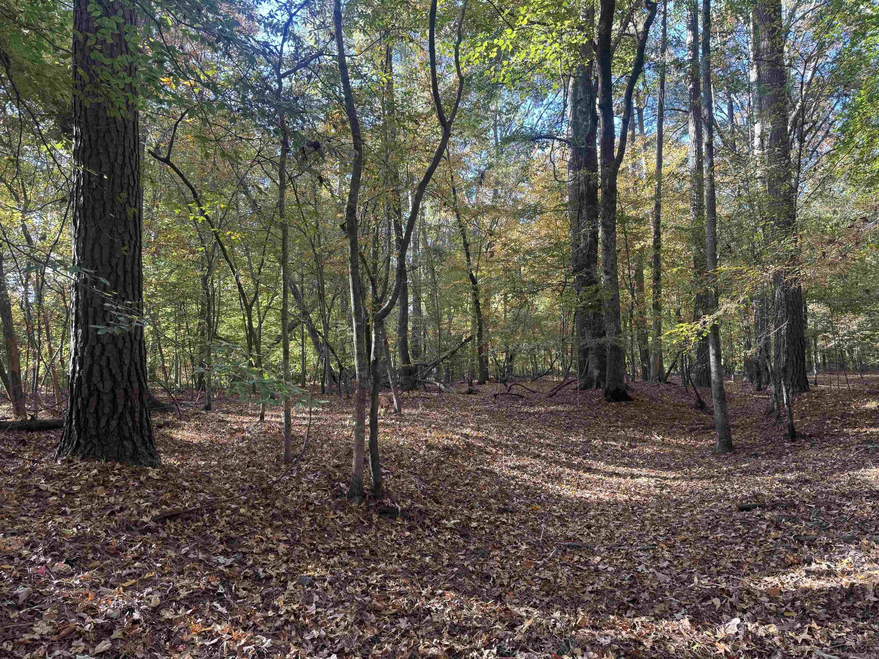 000 Sulpher Springs Rd Property Photo 15
