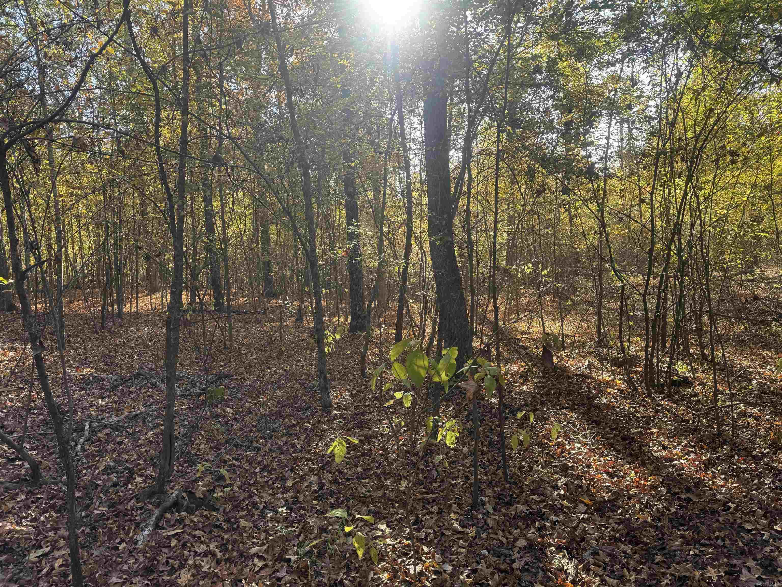 000 Sulpher Springs Rd Property Photo 16