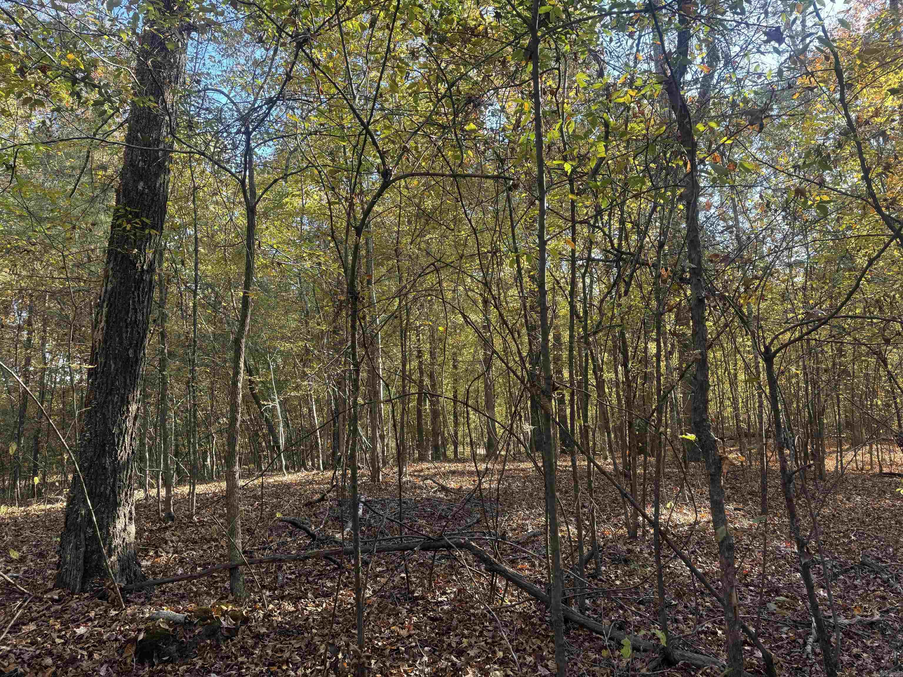 000 Sulpher Springs Rd Property Photo 17