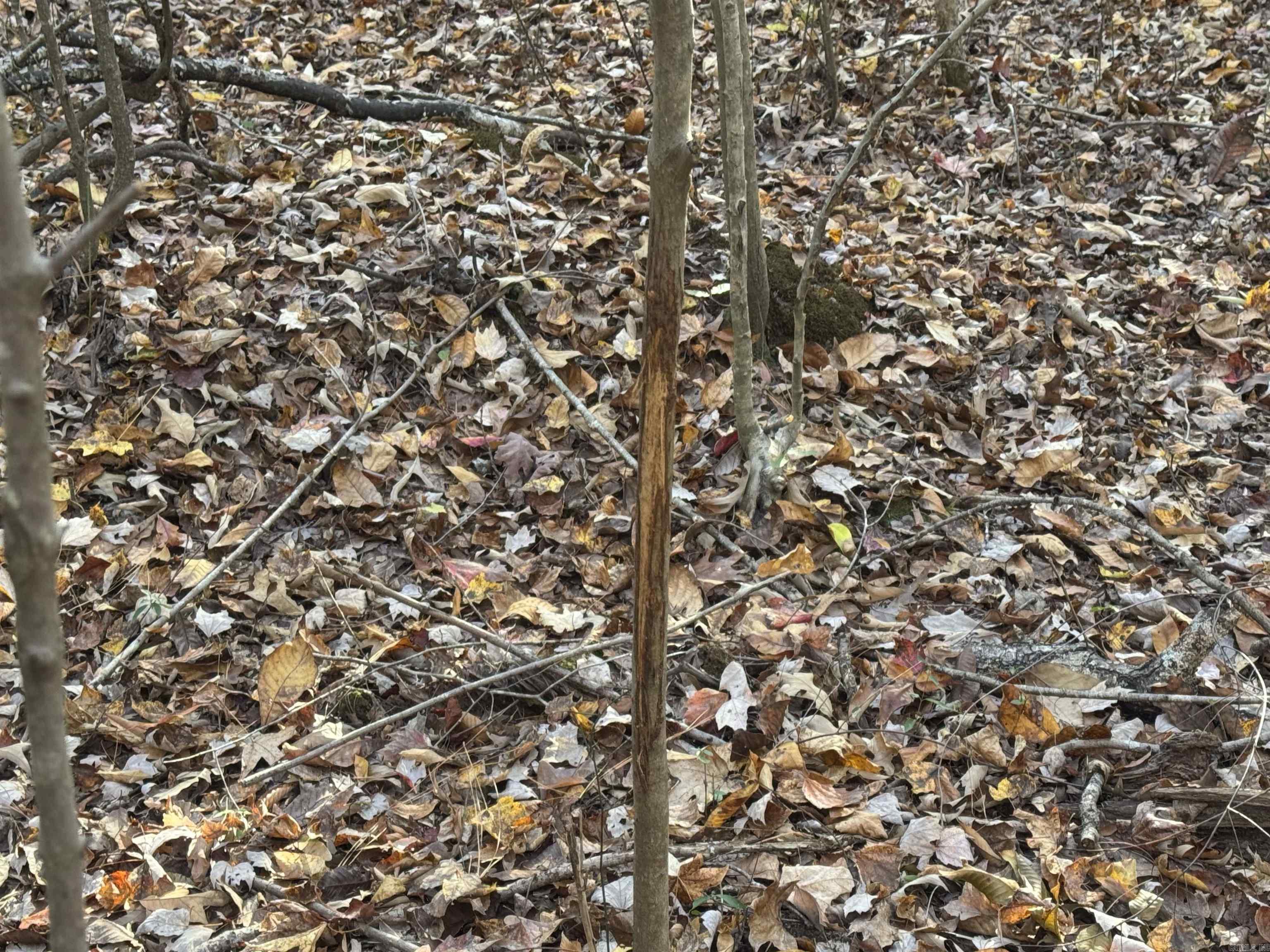 000 Sulpher Springs Rd Property Photo 18