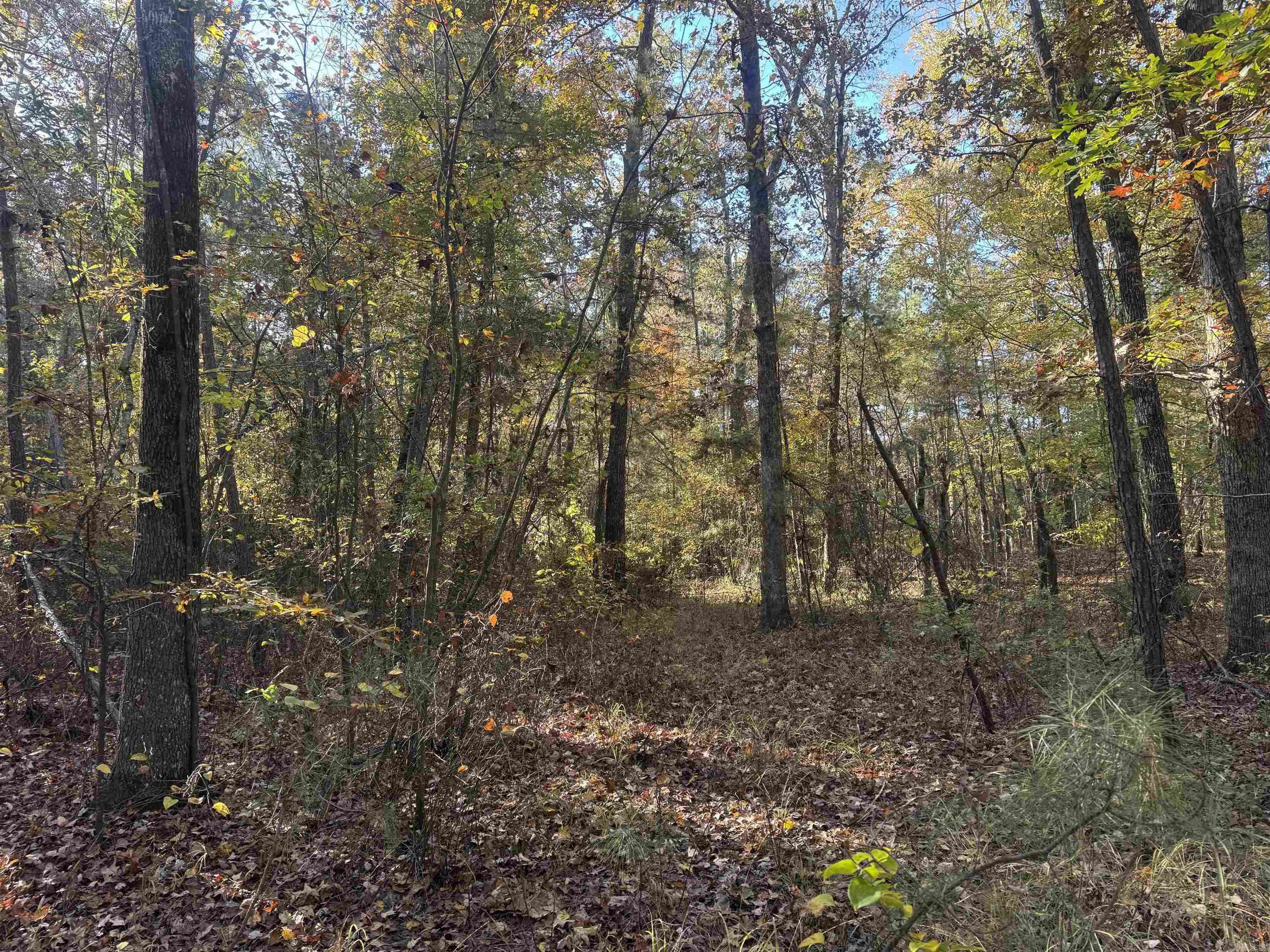 000 Sulpher Springs Rd Property Photo 19