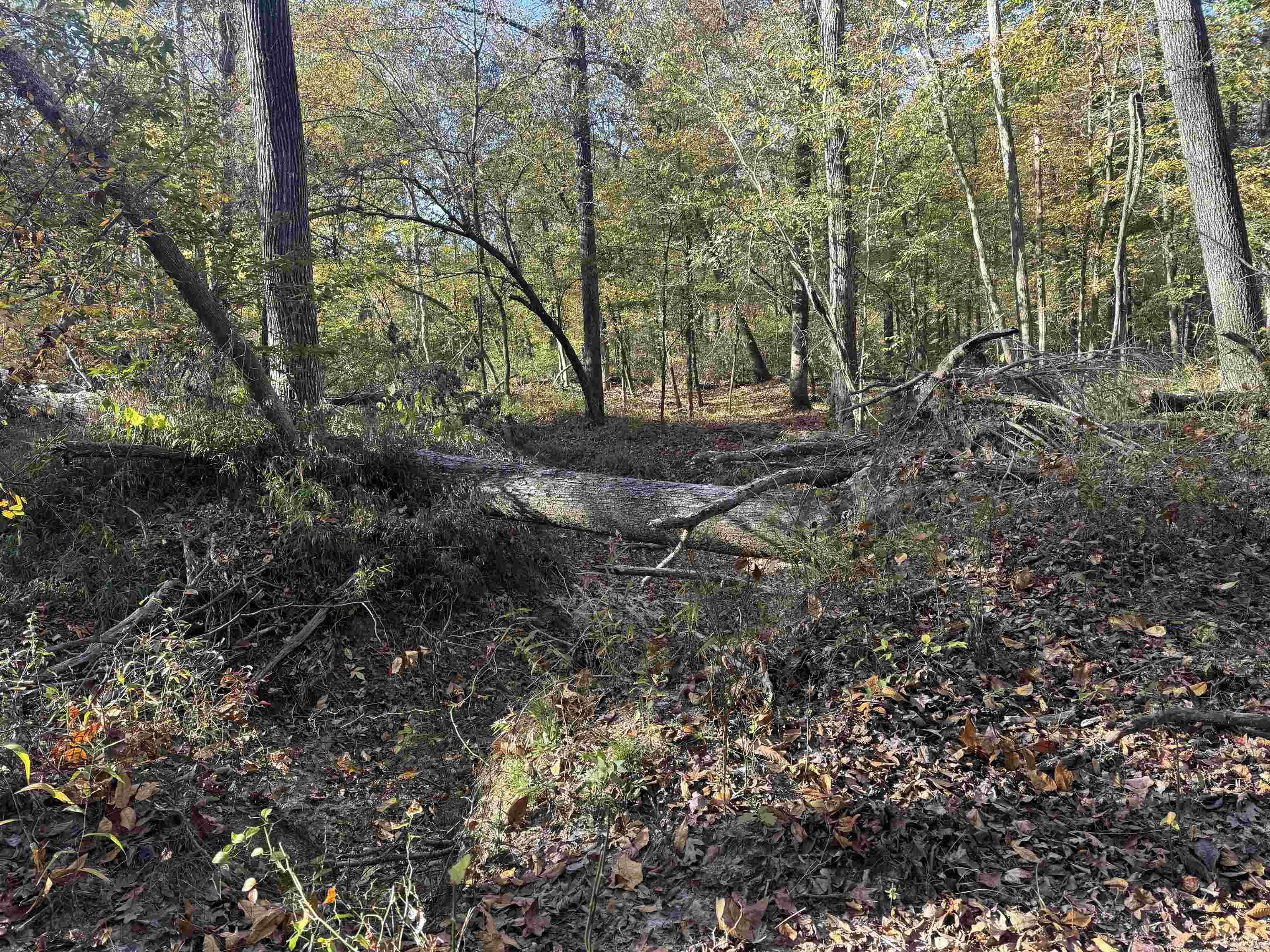 000 Sulpher Springs Rd Property Photo 20