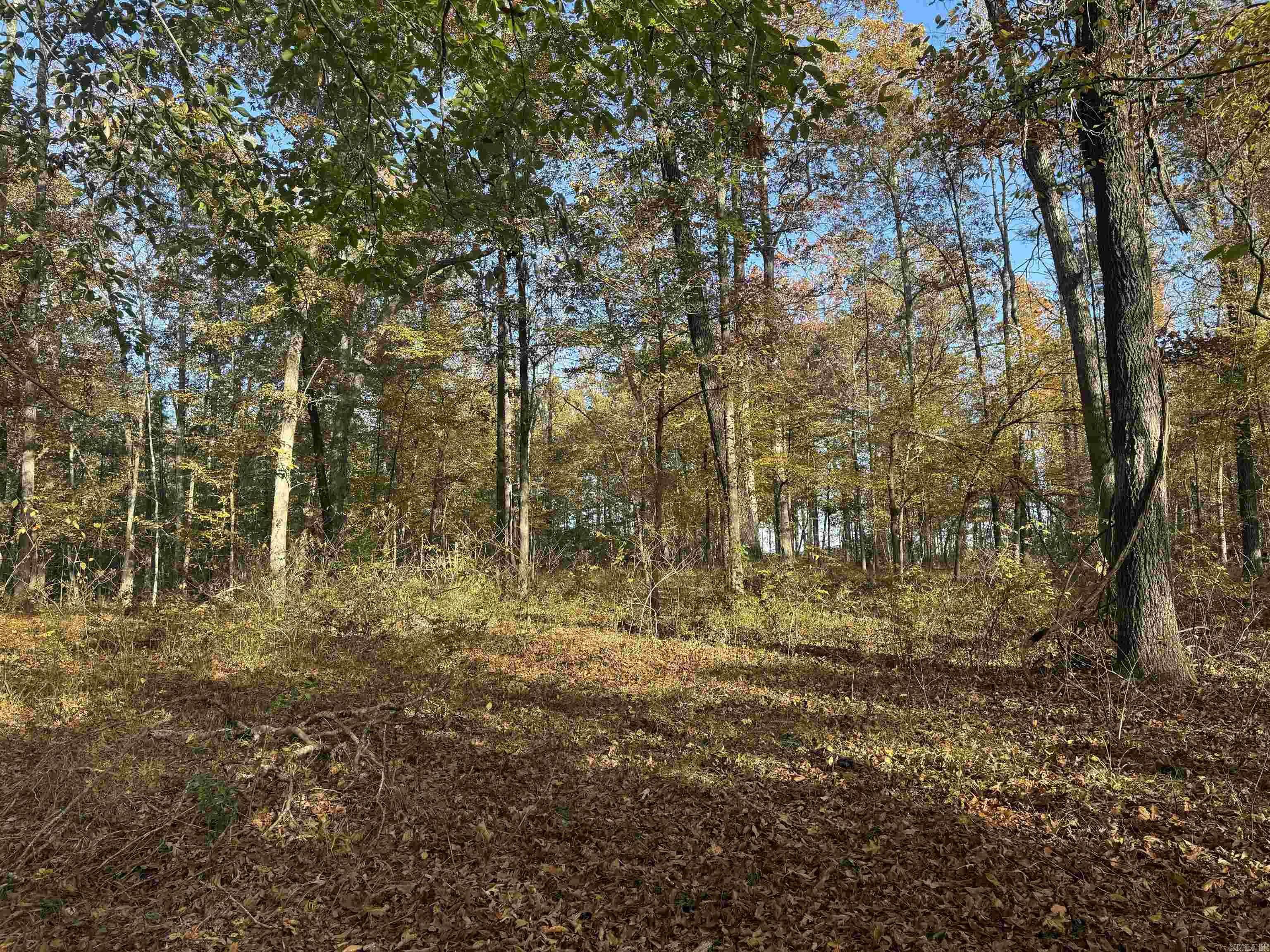 000 Sulpher Springs Rd Property Photo 22