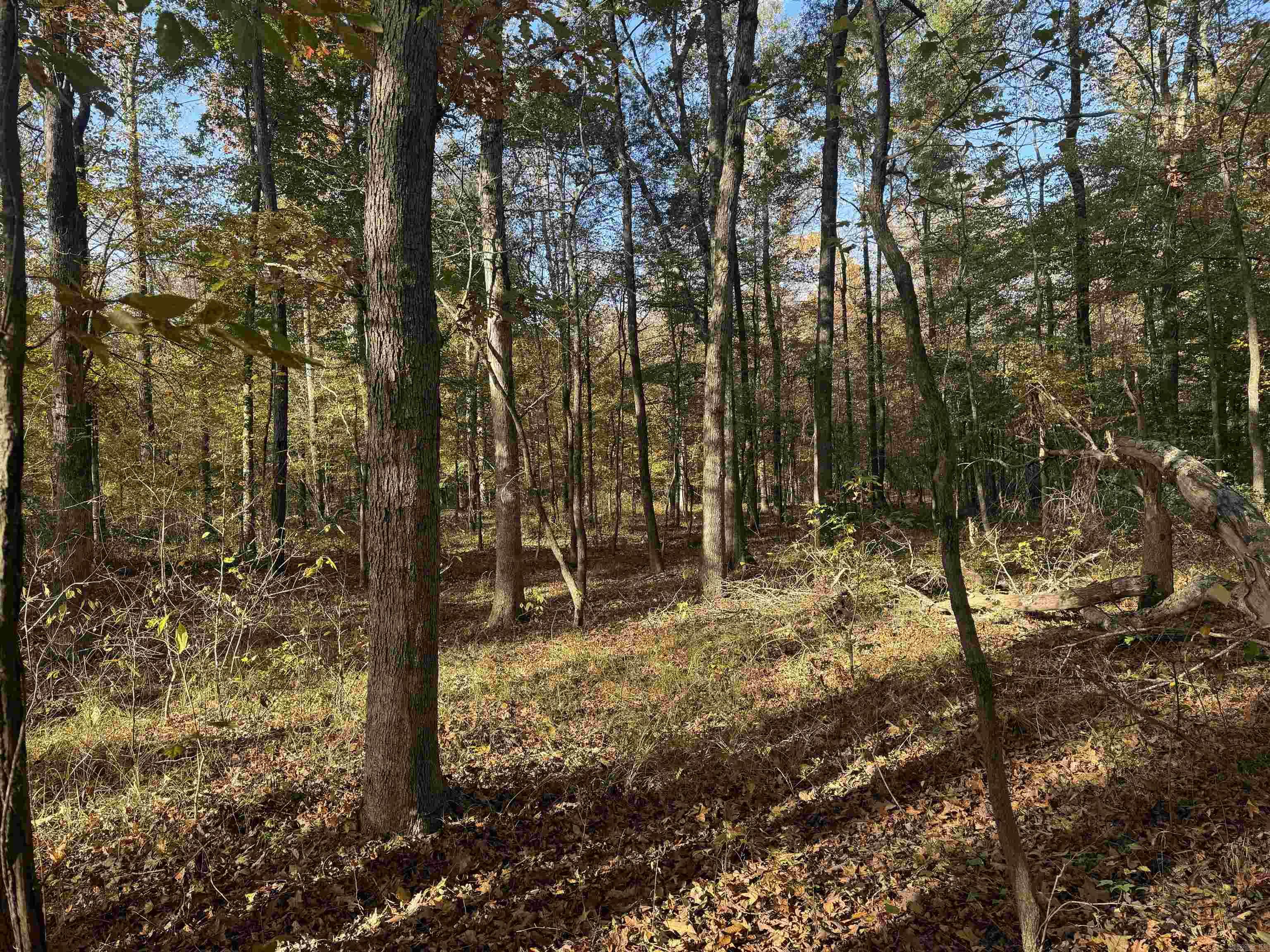 000 Sulpher Springs Rd Property Photo 23