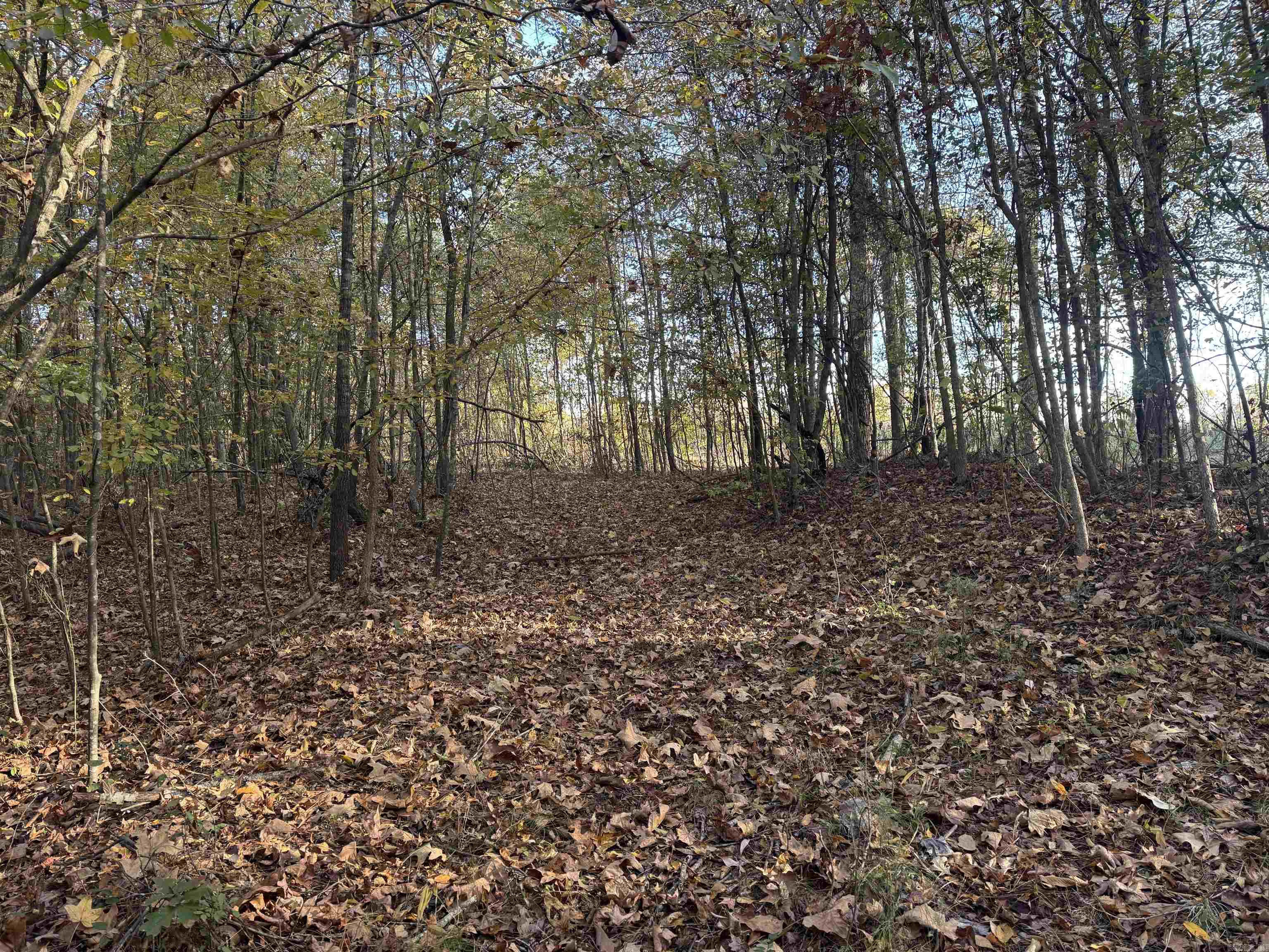 000 Sulpher Springs Rd Property Photo 25
