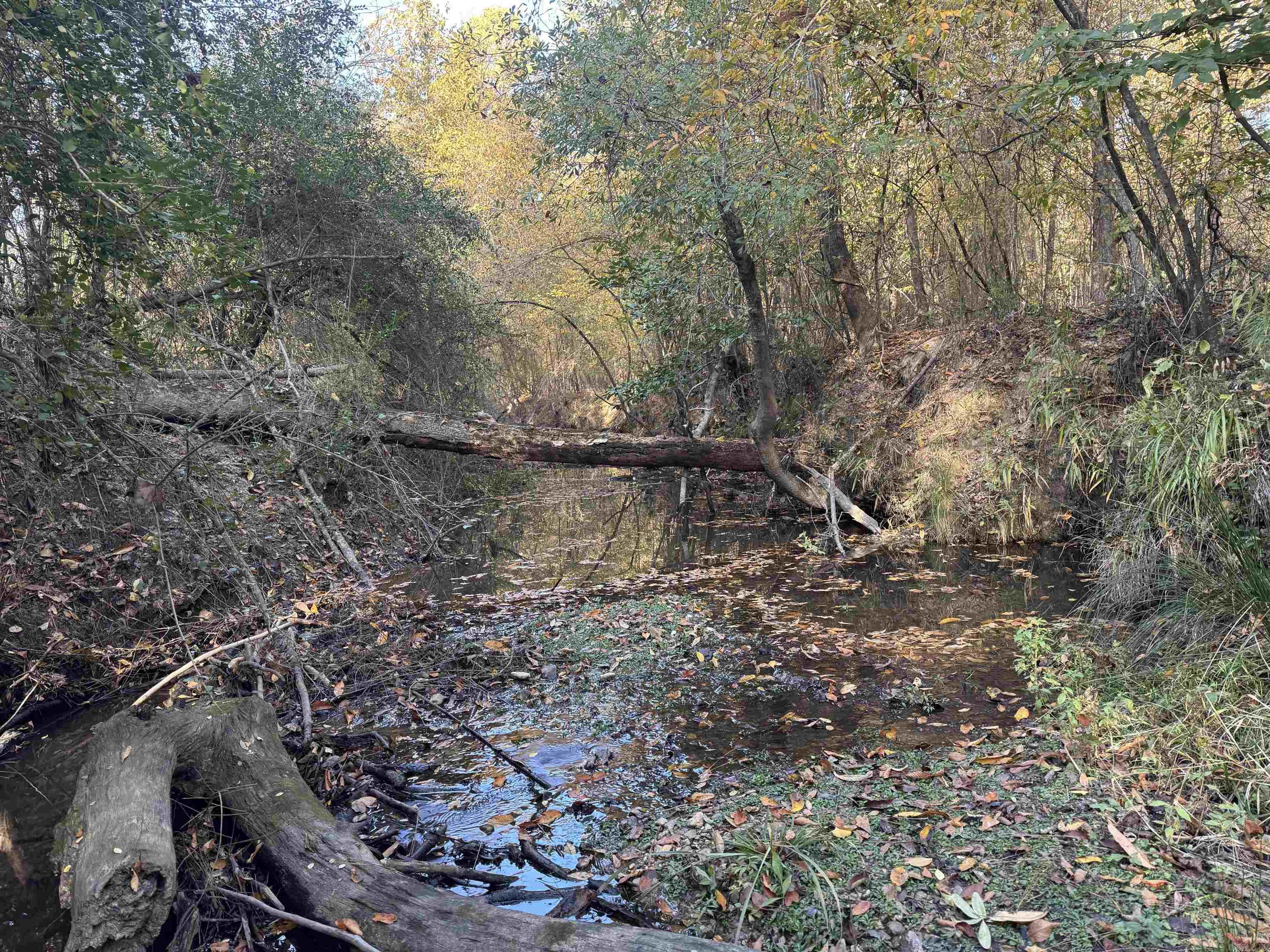 000 Sulpher Springs Rd Property Photo 26