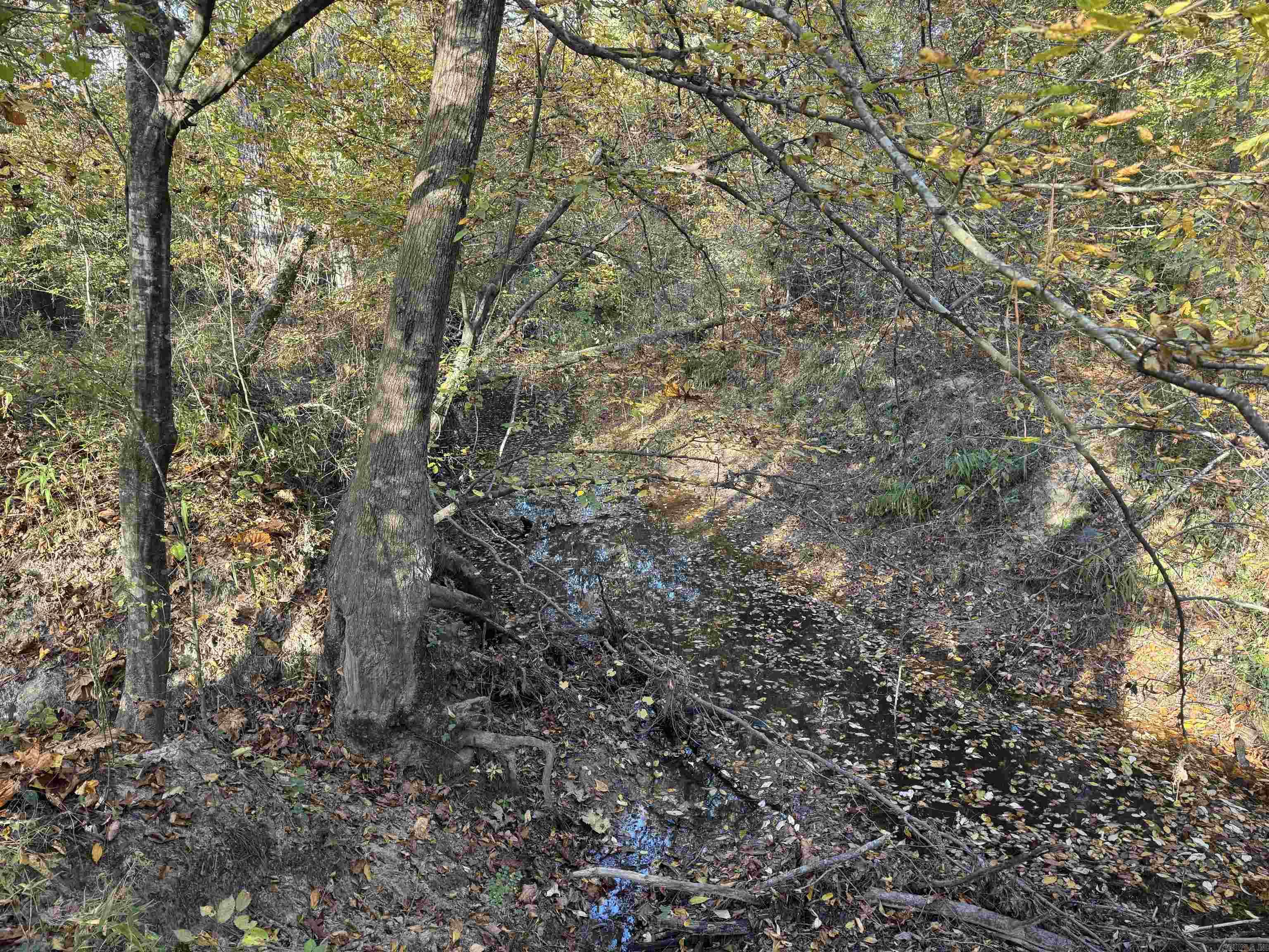 000 Sulpher Springs Rd Property Photo 28