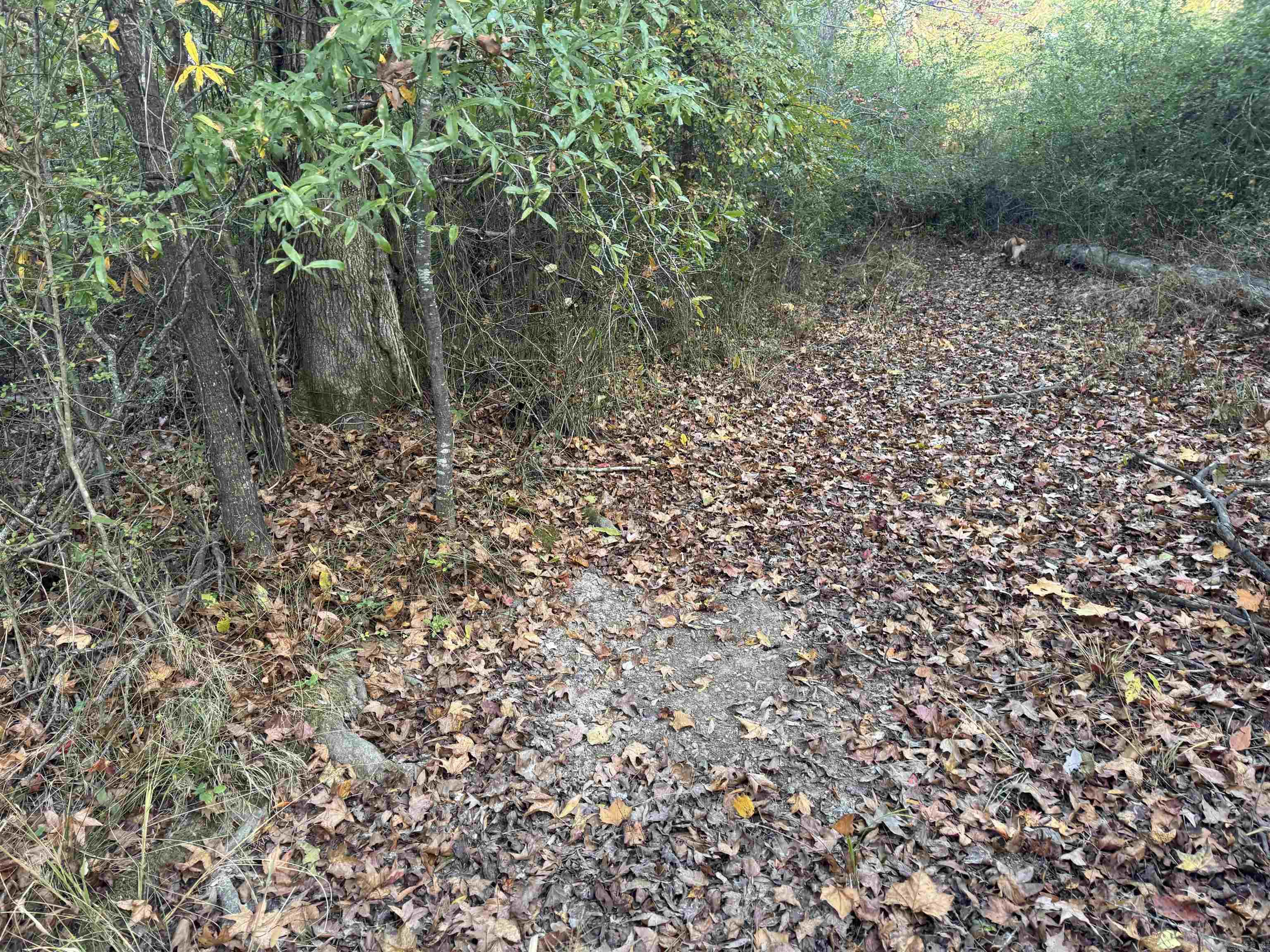000 Sulpher Springs Rd Property Photo 29