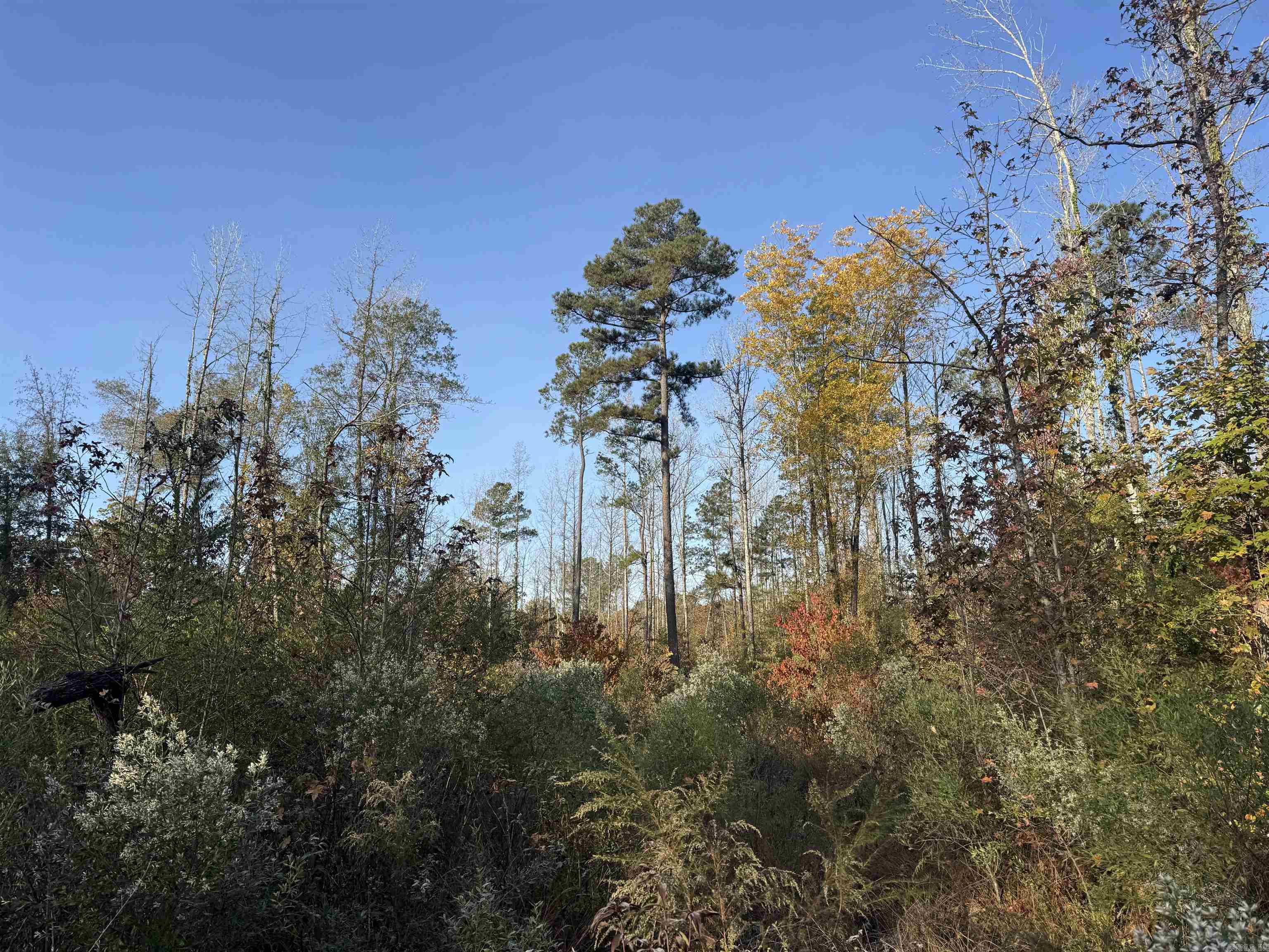 000 Sulpher Springs Rd Property Photo 31