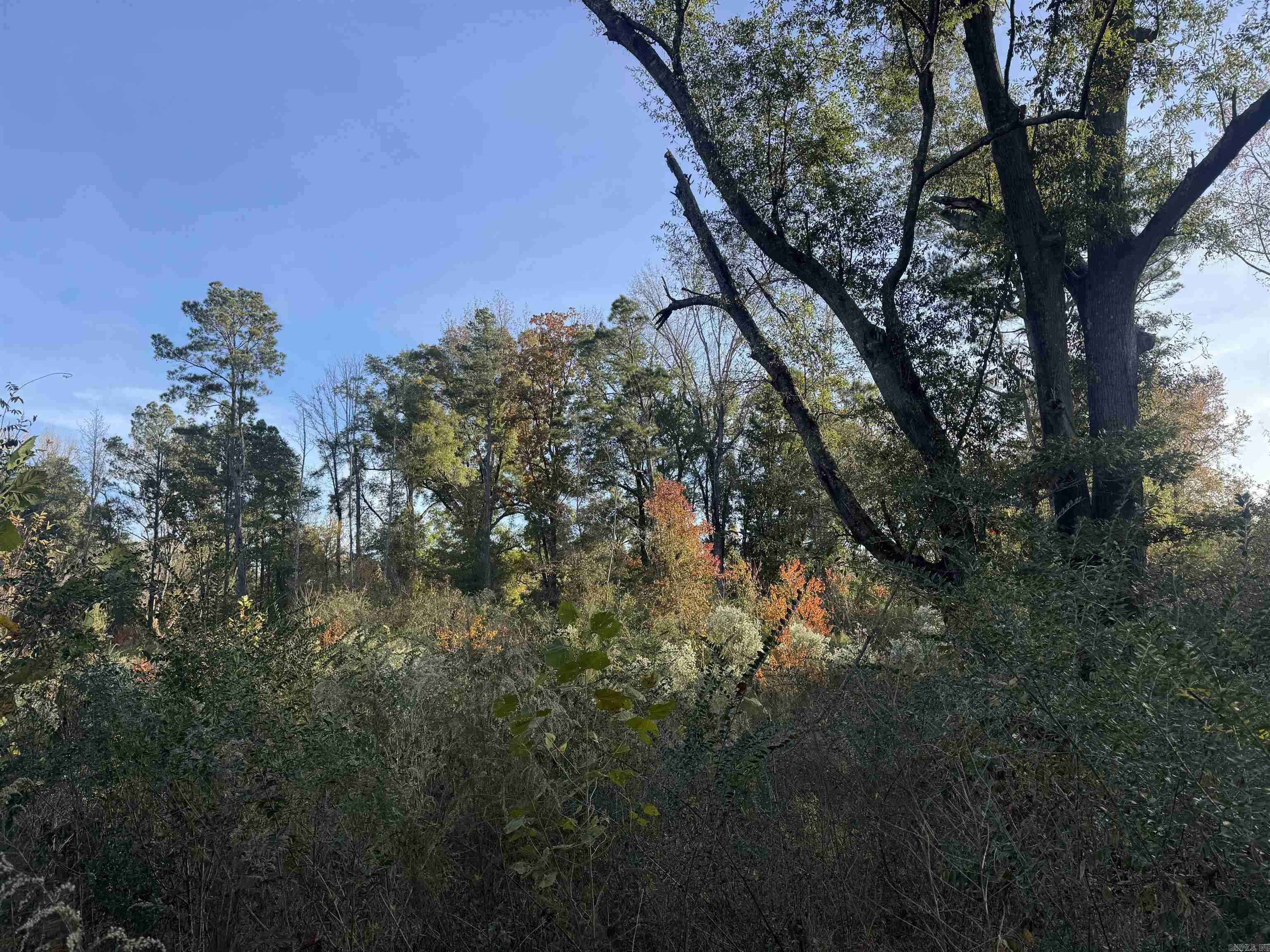 000 Sulpher Springs Rd Property Photo 32