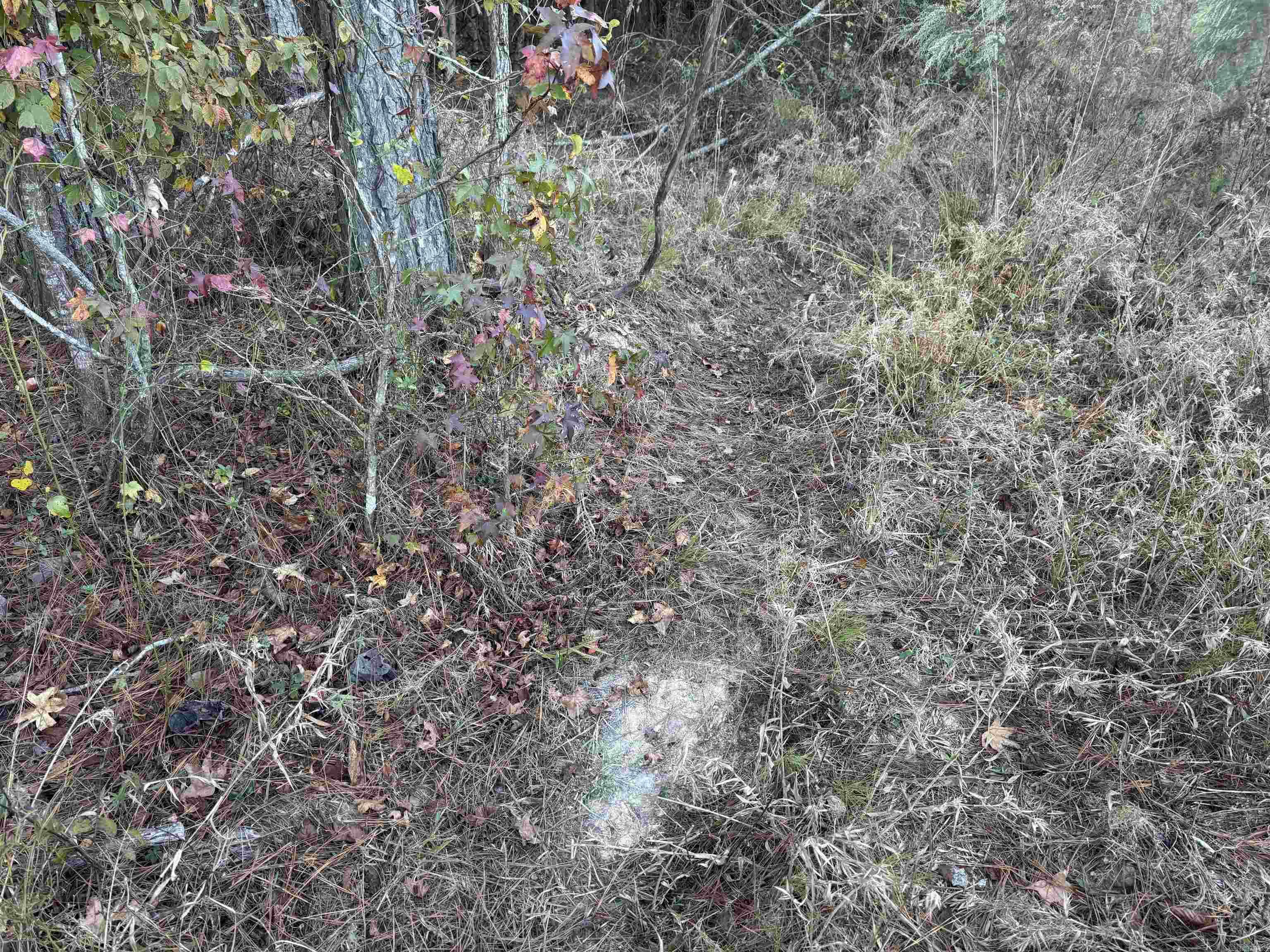 000 Sulpher Springs Rd Property Photo 34