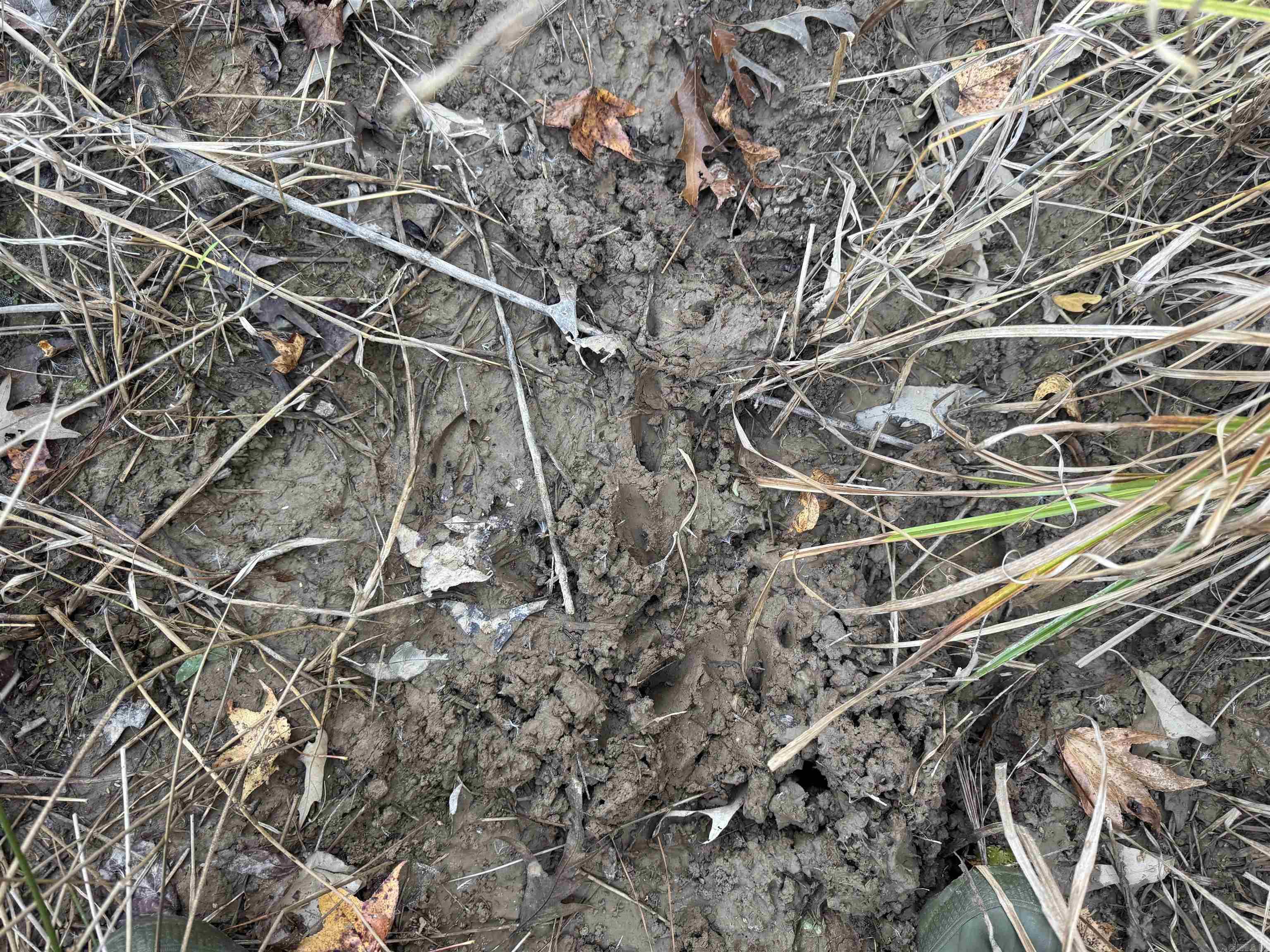 000 Sulpher Springs Rd Property Photo 35