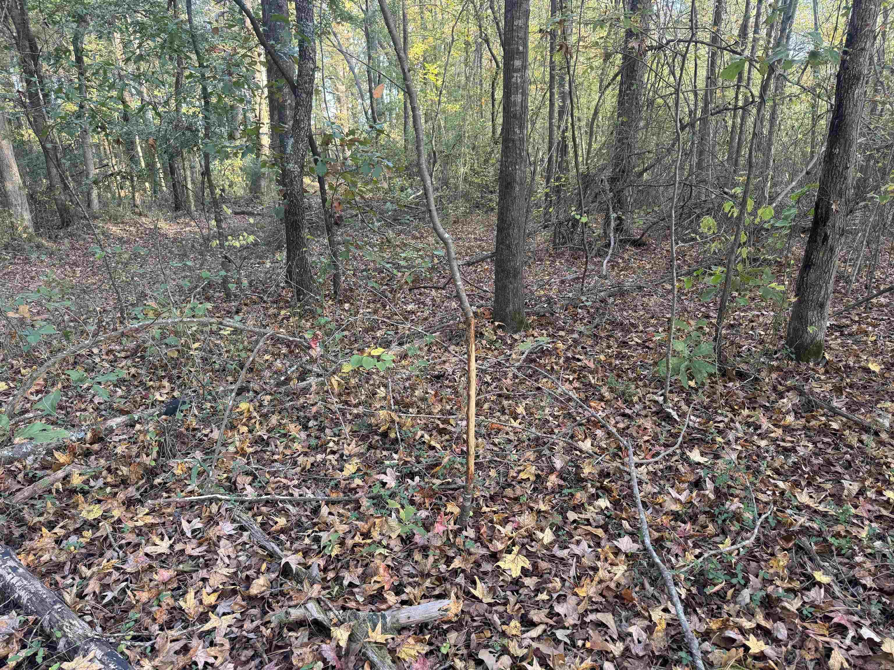 000 Sulpher Springs Rd Property Photo 37