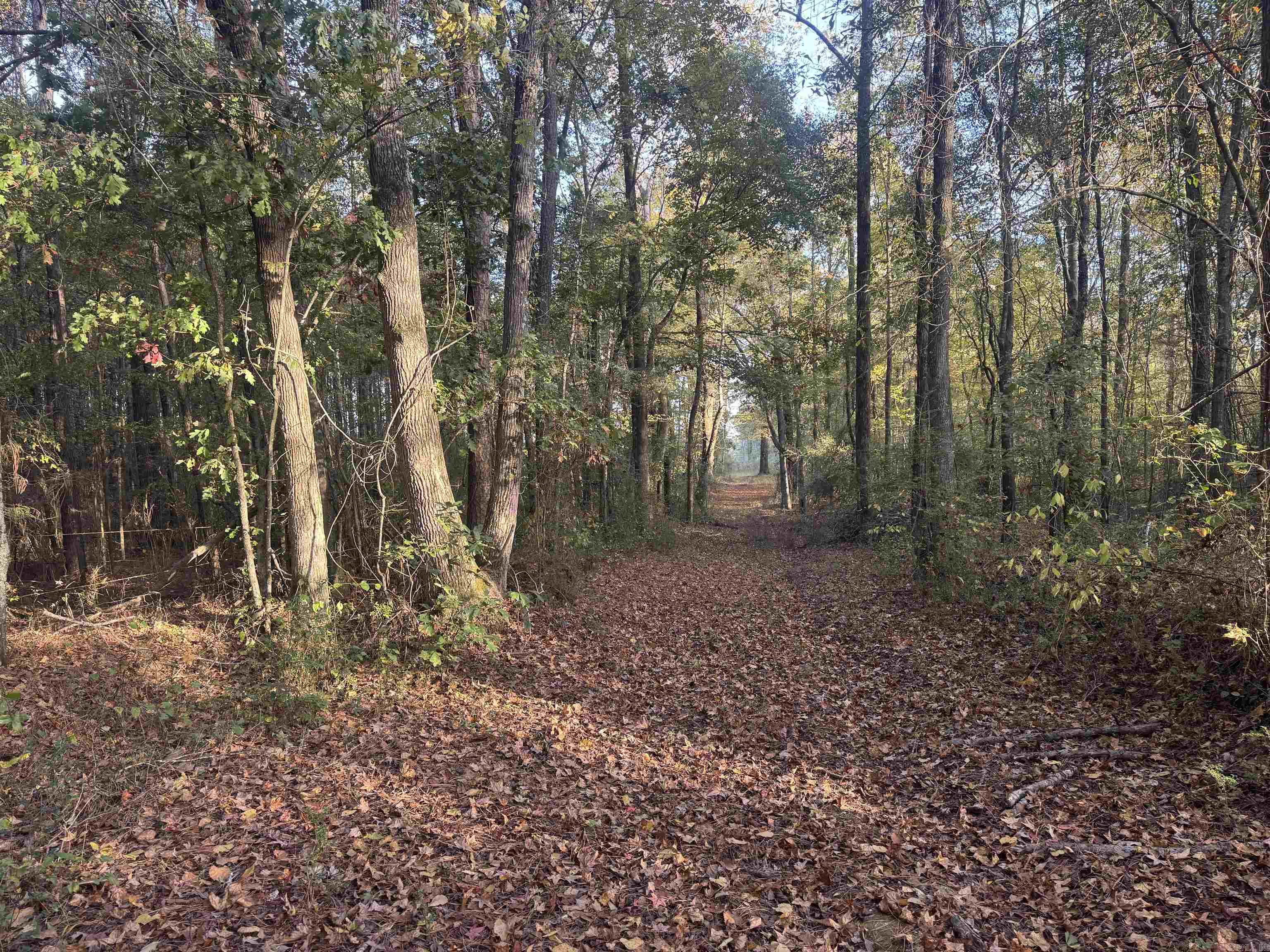 000 Sulpher Springs Rd Property Photo 38
