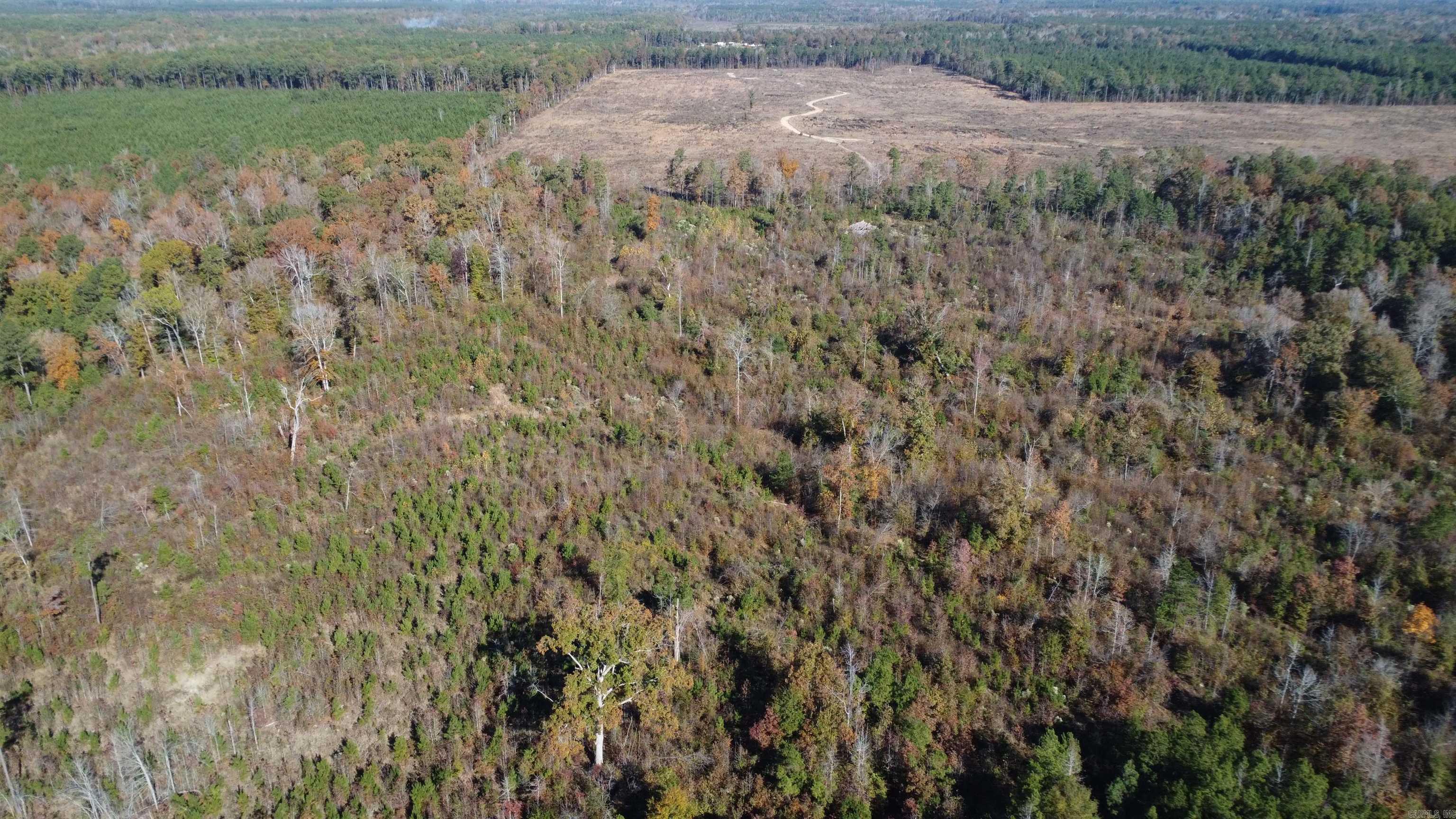 000 Sulpher Springs Rd Property Photo 41
