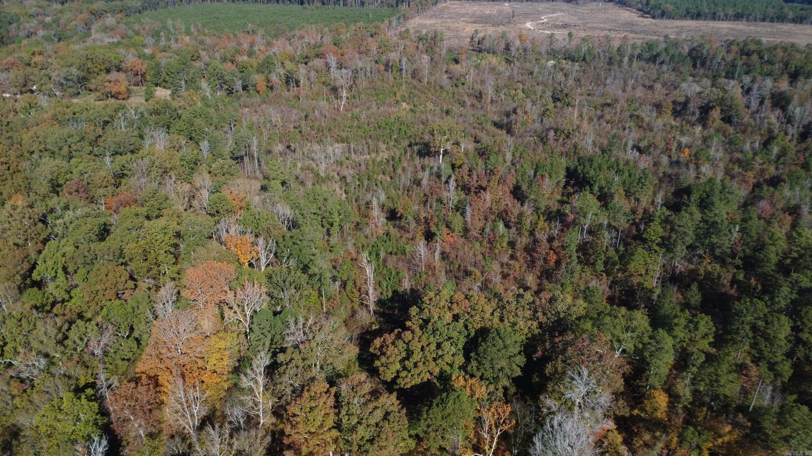 000 Sulpher Springs Rd Property Photo 42