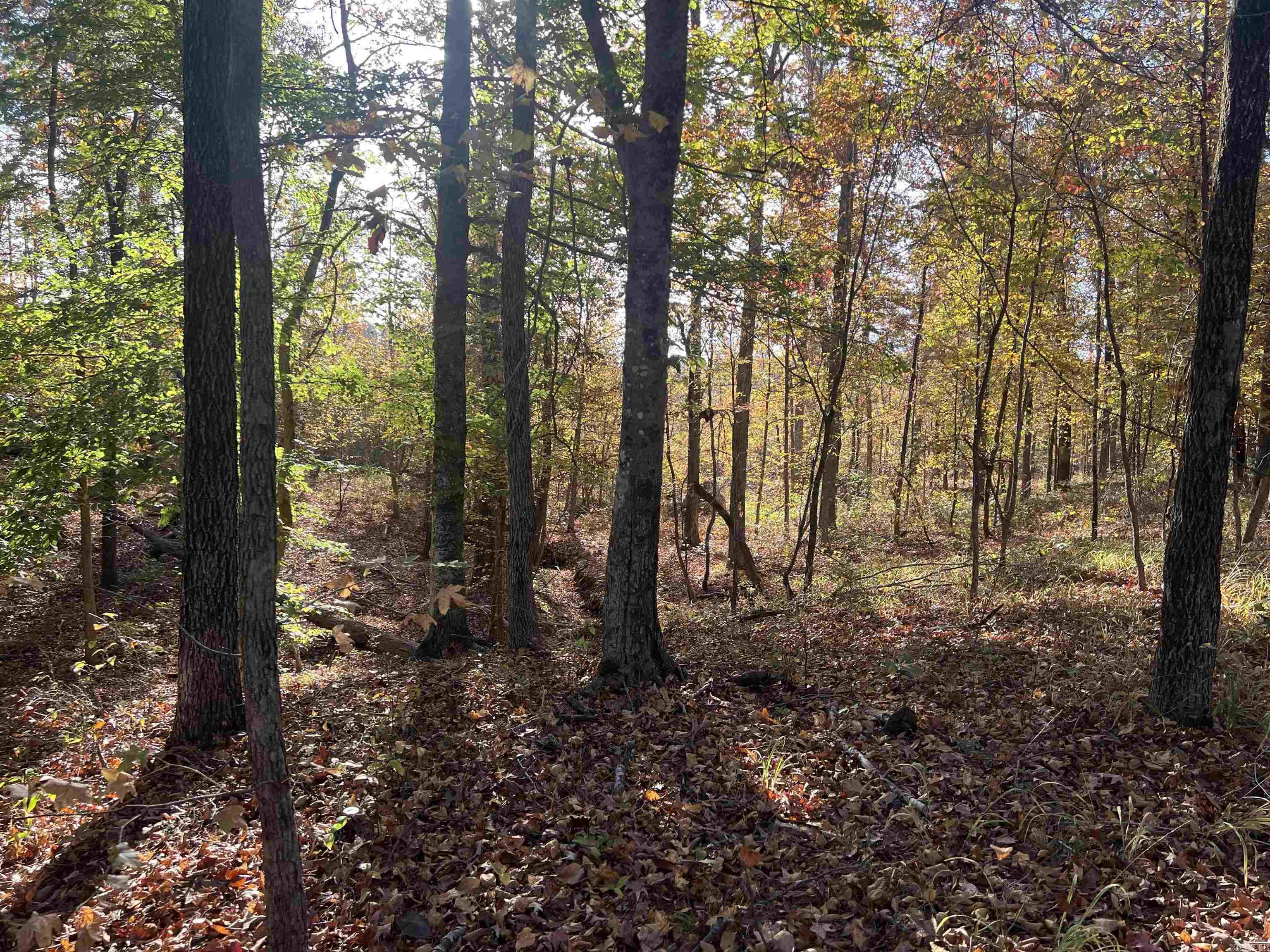 000 Sulpher Springs Rd Property Photo 46