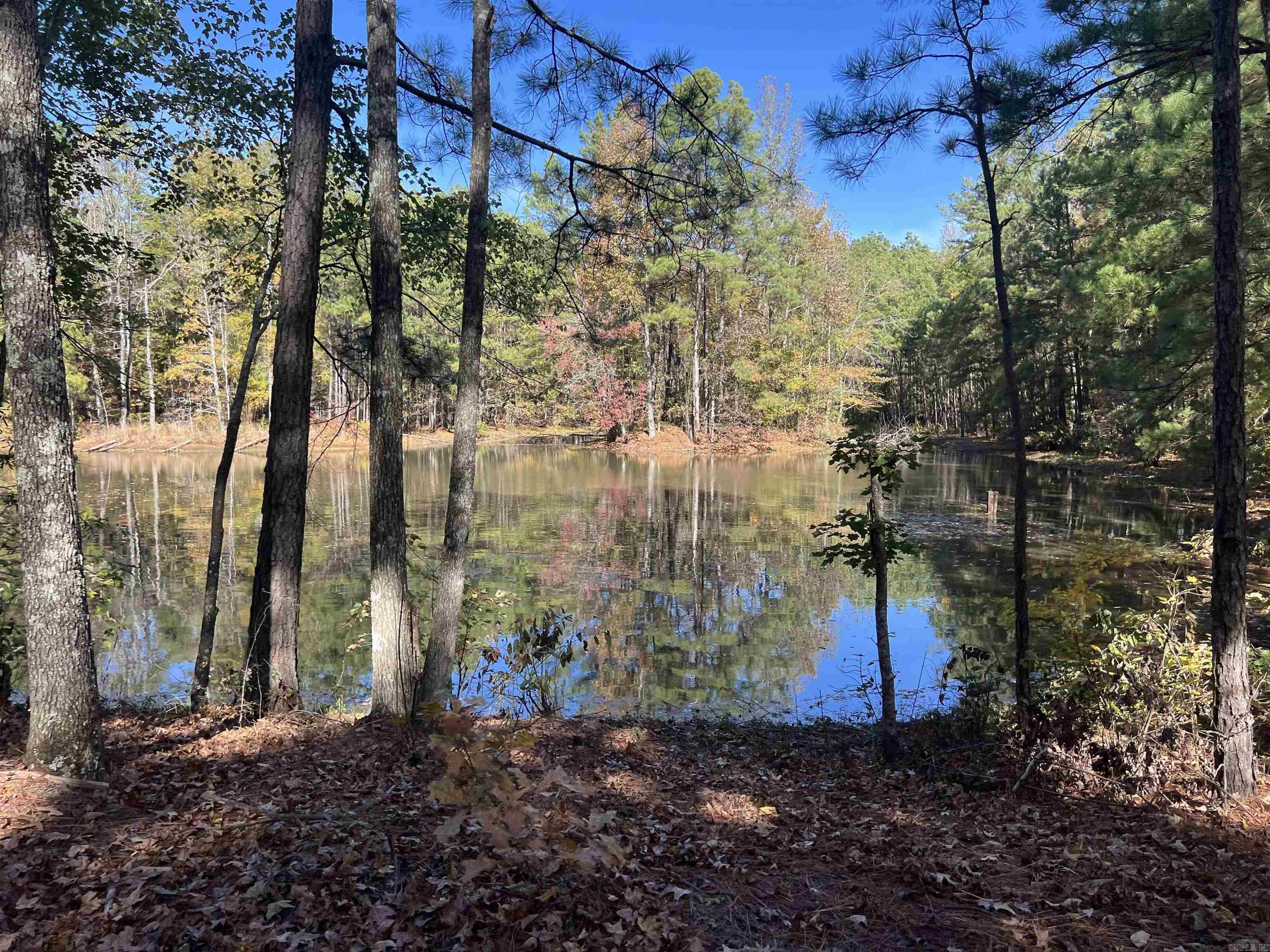 10875 Highway 133 Property Photo 1