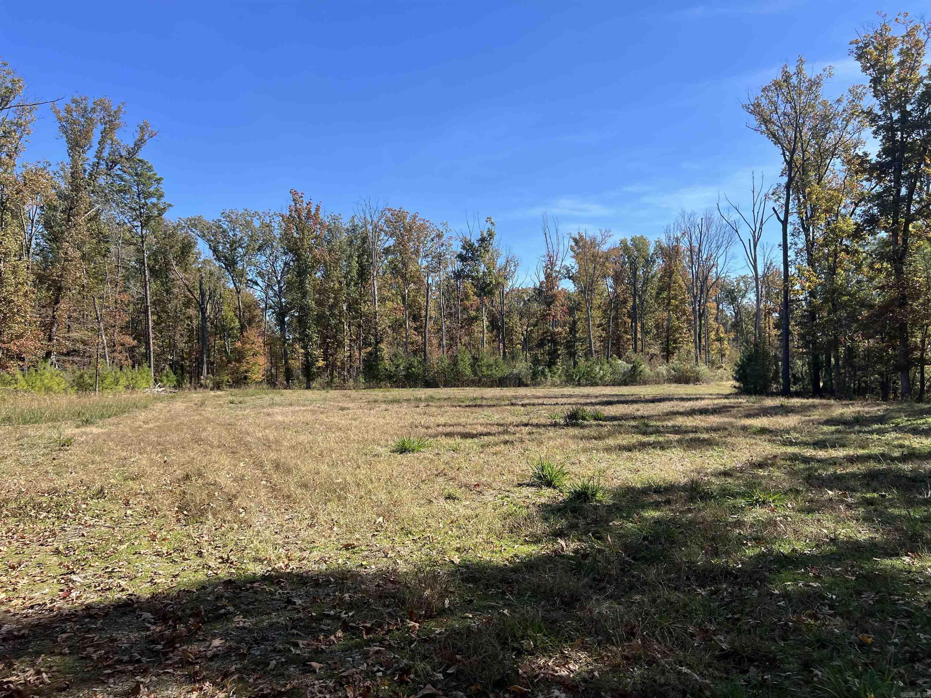 10875 Highway 133 Property Photo 2