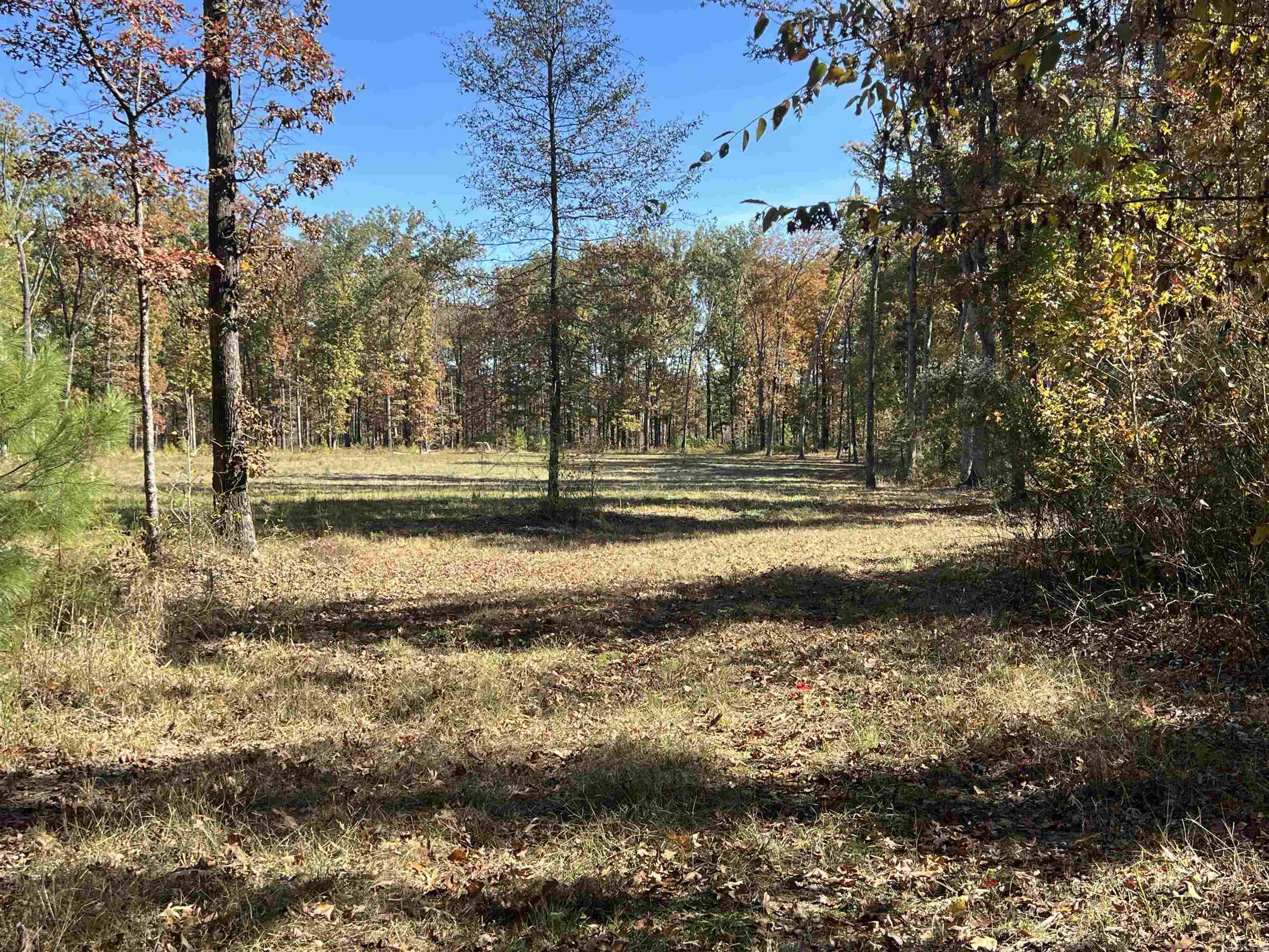 10875 Highway 133 Property Photo 4